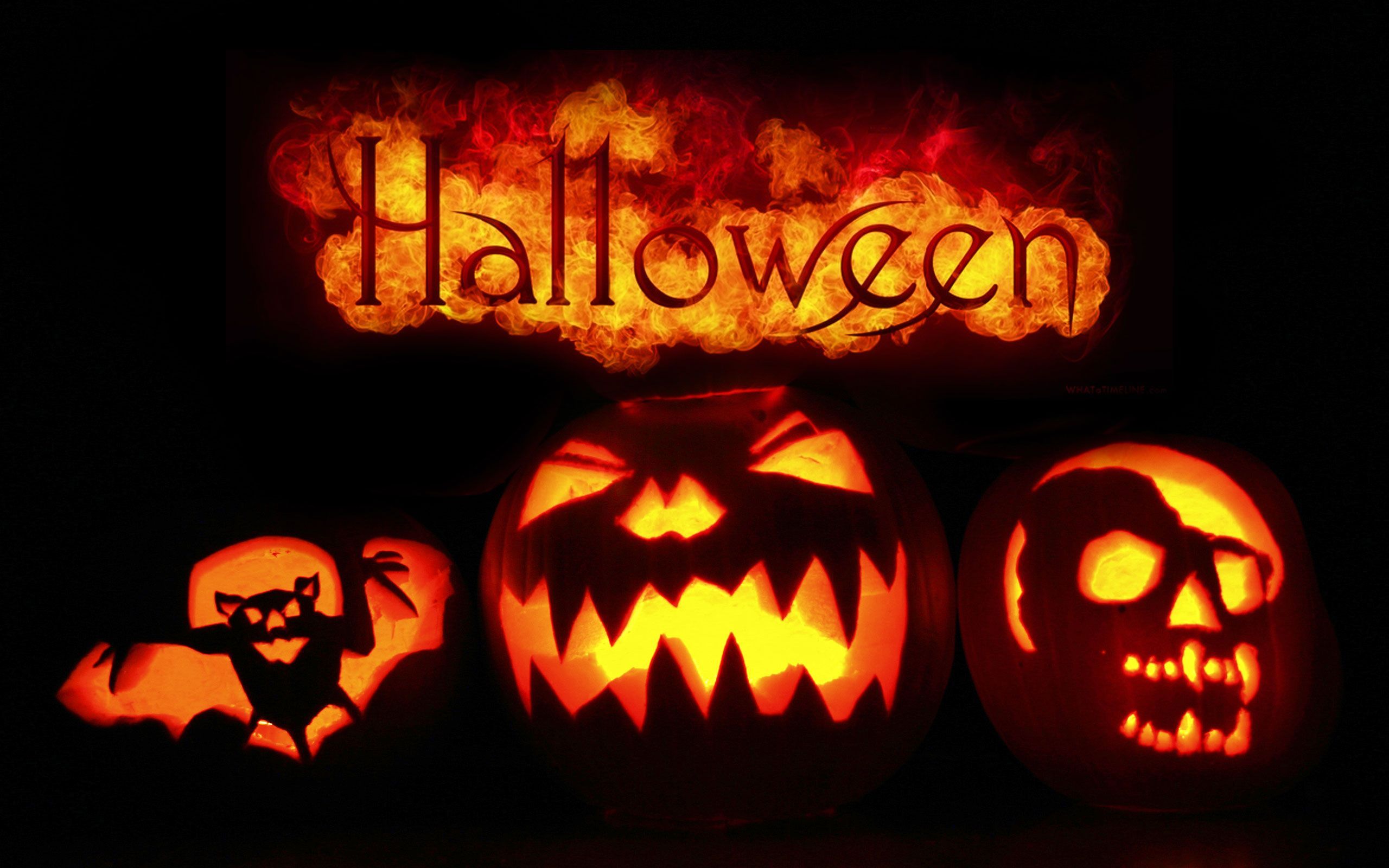 Zucche Halloween intagliate fuoco, 2560x1600 WQXGA, Desktop