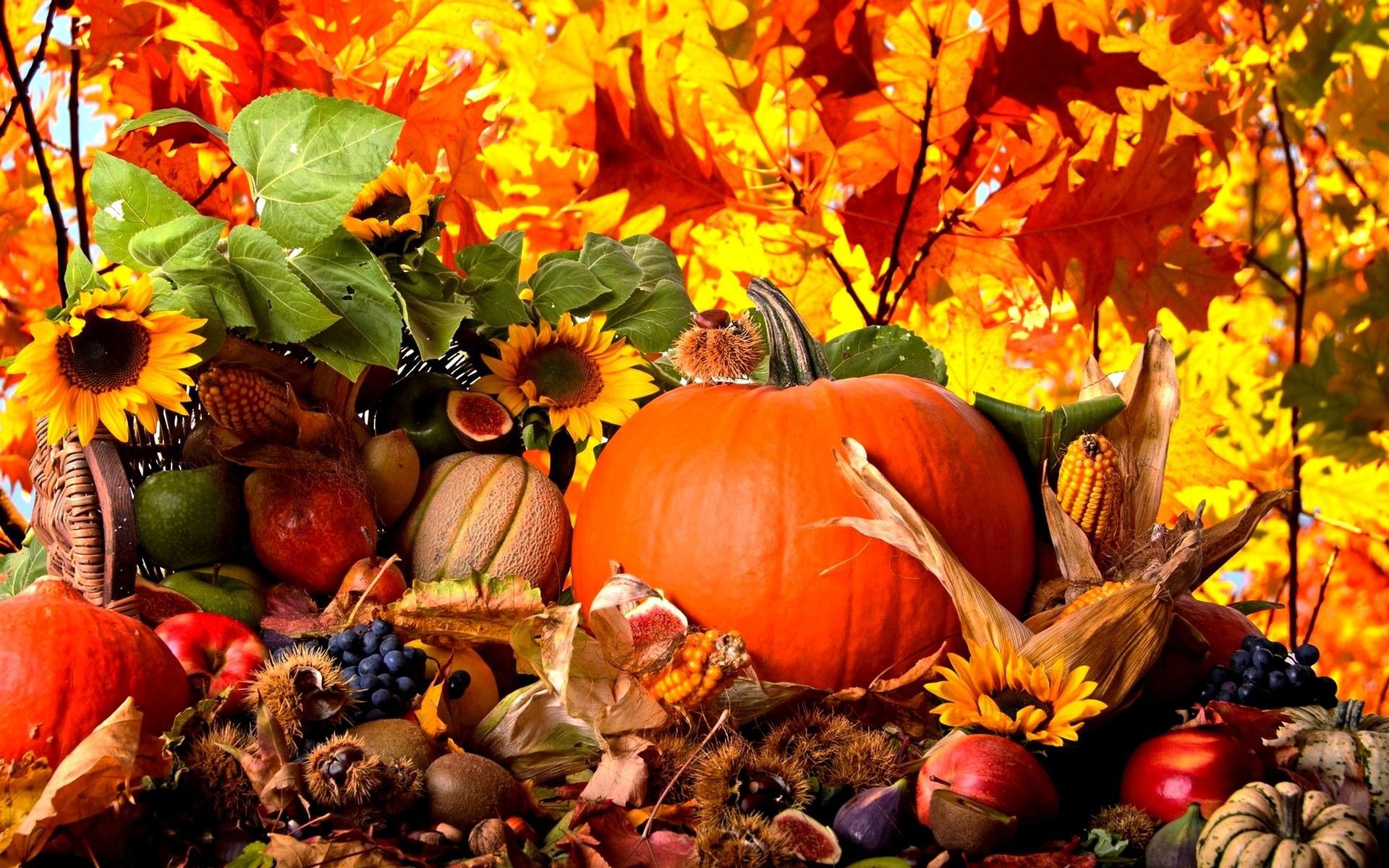 Zucche e frutta autunnale, 1920x1200 WUXGA, Desktop