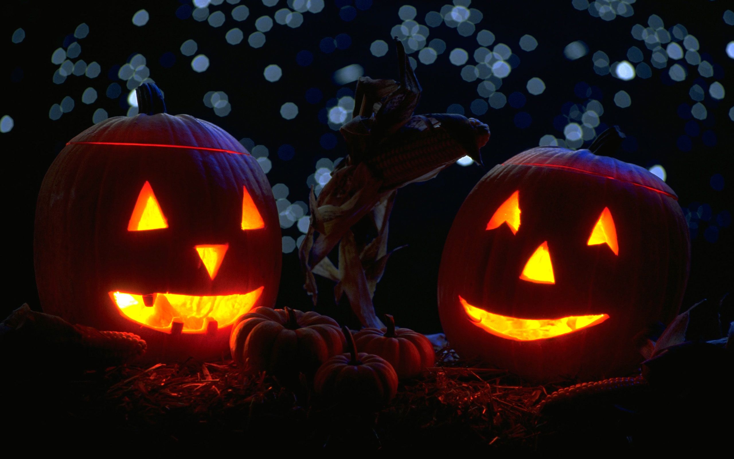 Zucche di Halloween illuminate, 2560x1600 WQXGA, MacBook Pro
