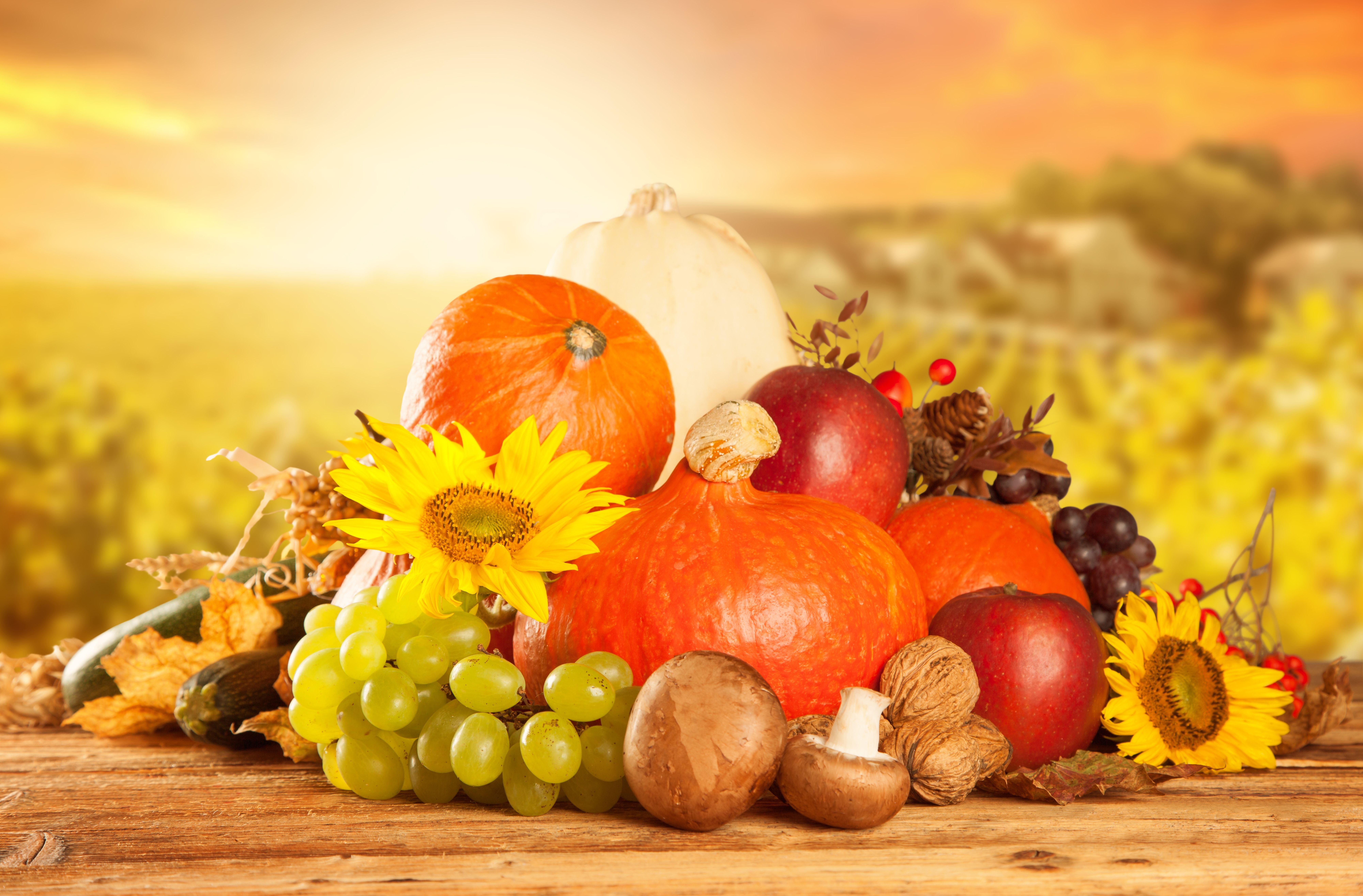 Zucche e frutta autunnale, 8000x5260 Ultra HD, 4K TV