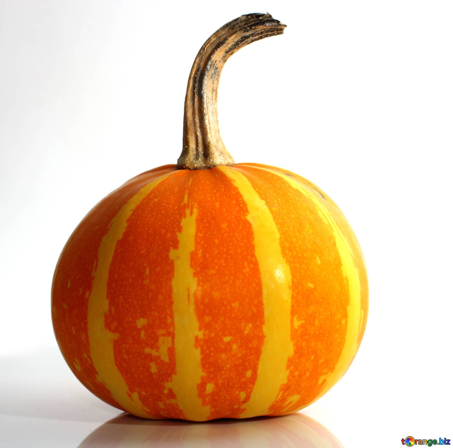 Zucca arancione a righe, 1920x1898 Full HD+ WUXGA, Desktop