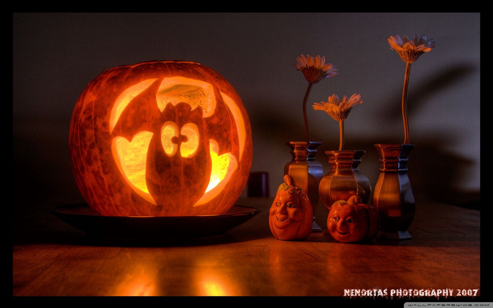 Zucca Halloween intagliata gatto, 1680x1050 900p, Desktop