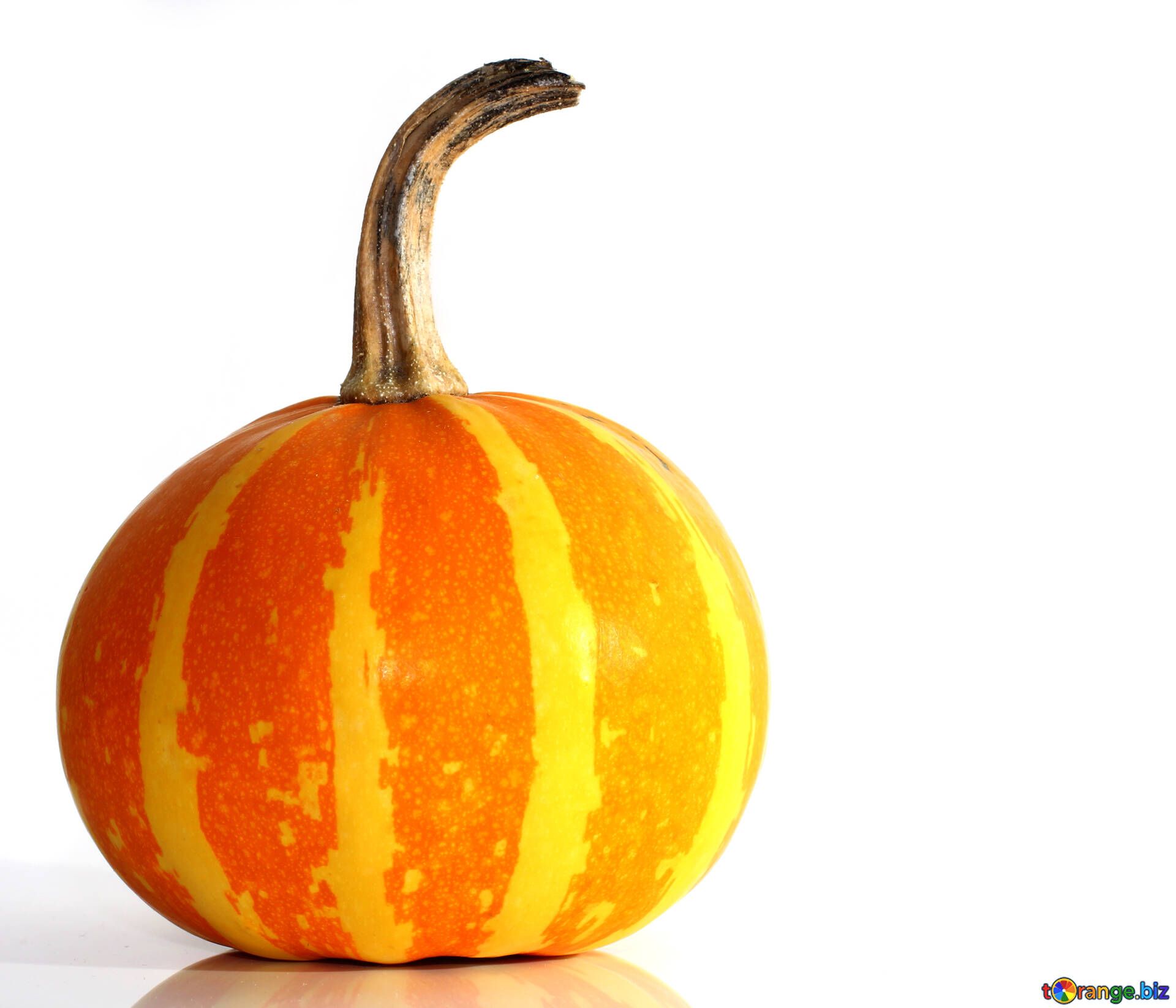 Zucca arancione su sfondo bianco, 1920x1646 Full HD+, PC