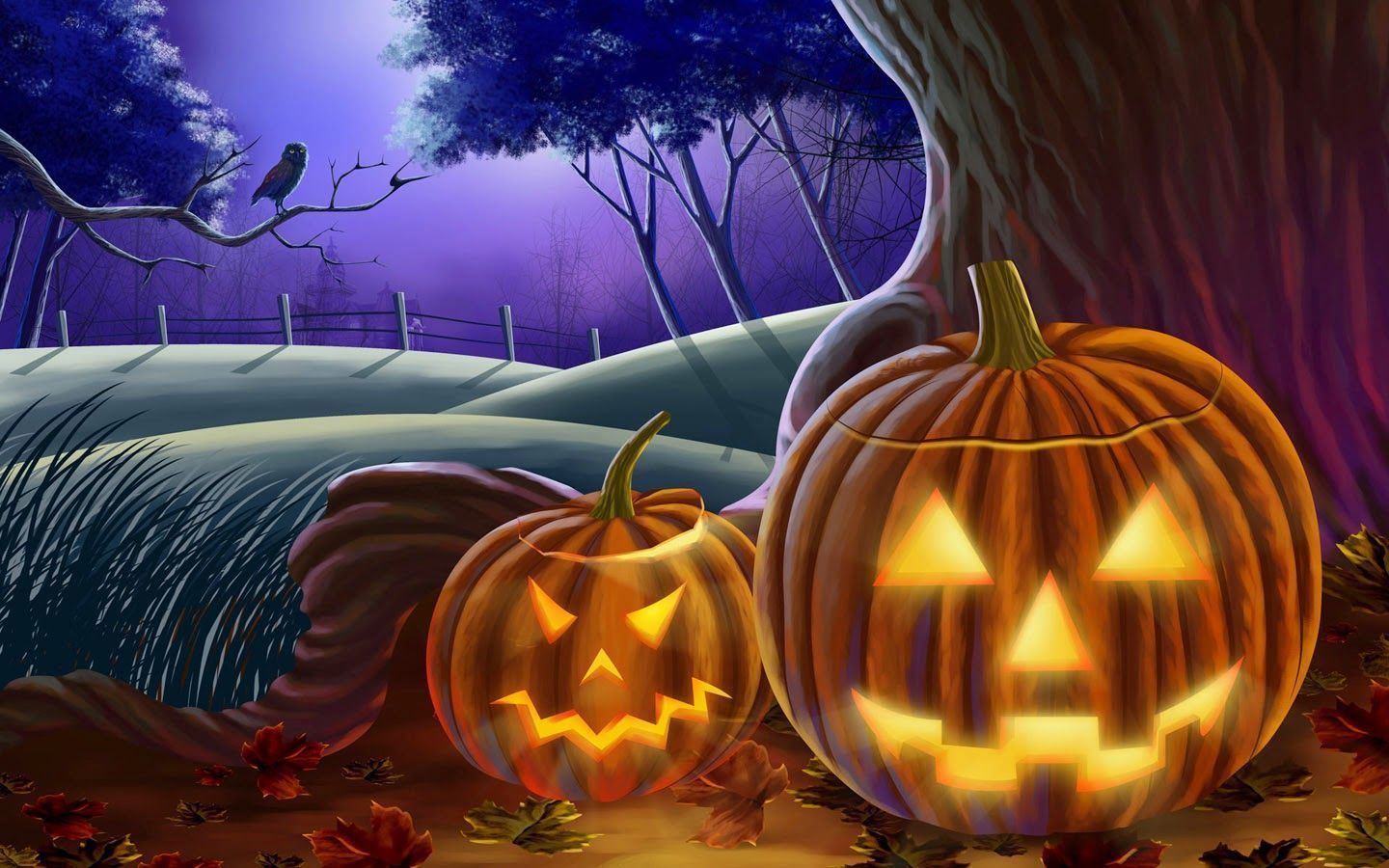 Zucche di Halloween illuminate notte, 1440x900 HD, Desktop