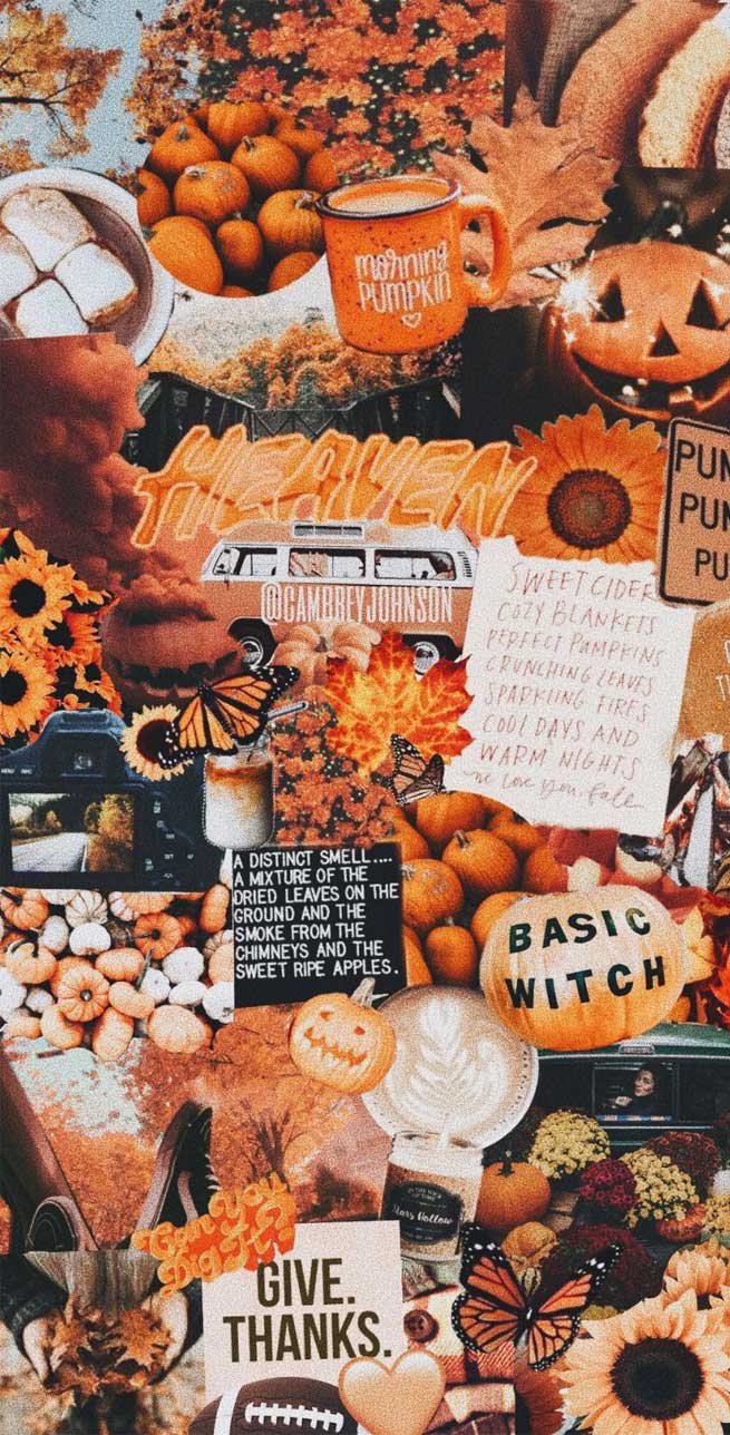 Collage autunnale zucche arancioni, 655x1288 Verticale, Mobile