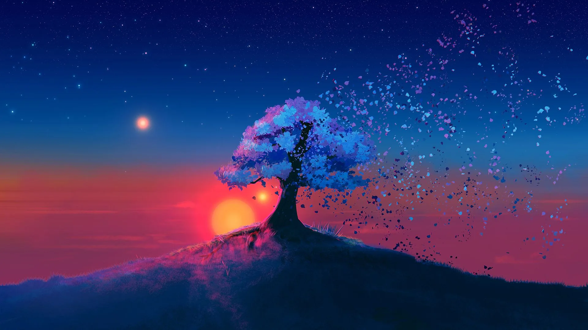 Albero fiorito al tramonto, 1920x1080 Full HD 1080p, PC