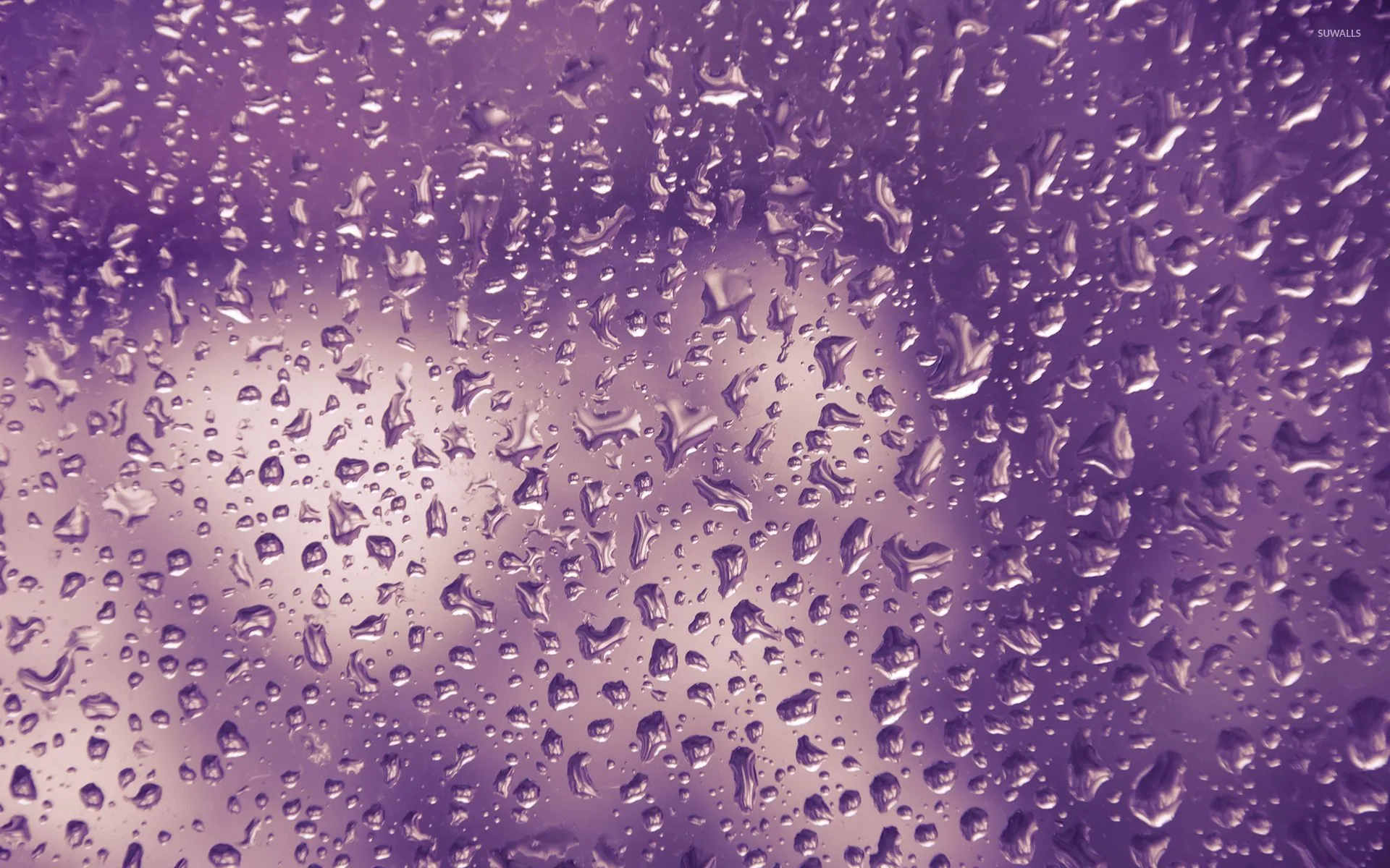 Gocce d'acqua su vetro viola, 1920x1200 Full HD+ WUXGA, Laptop