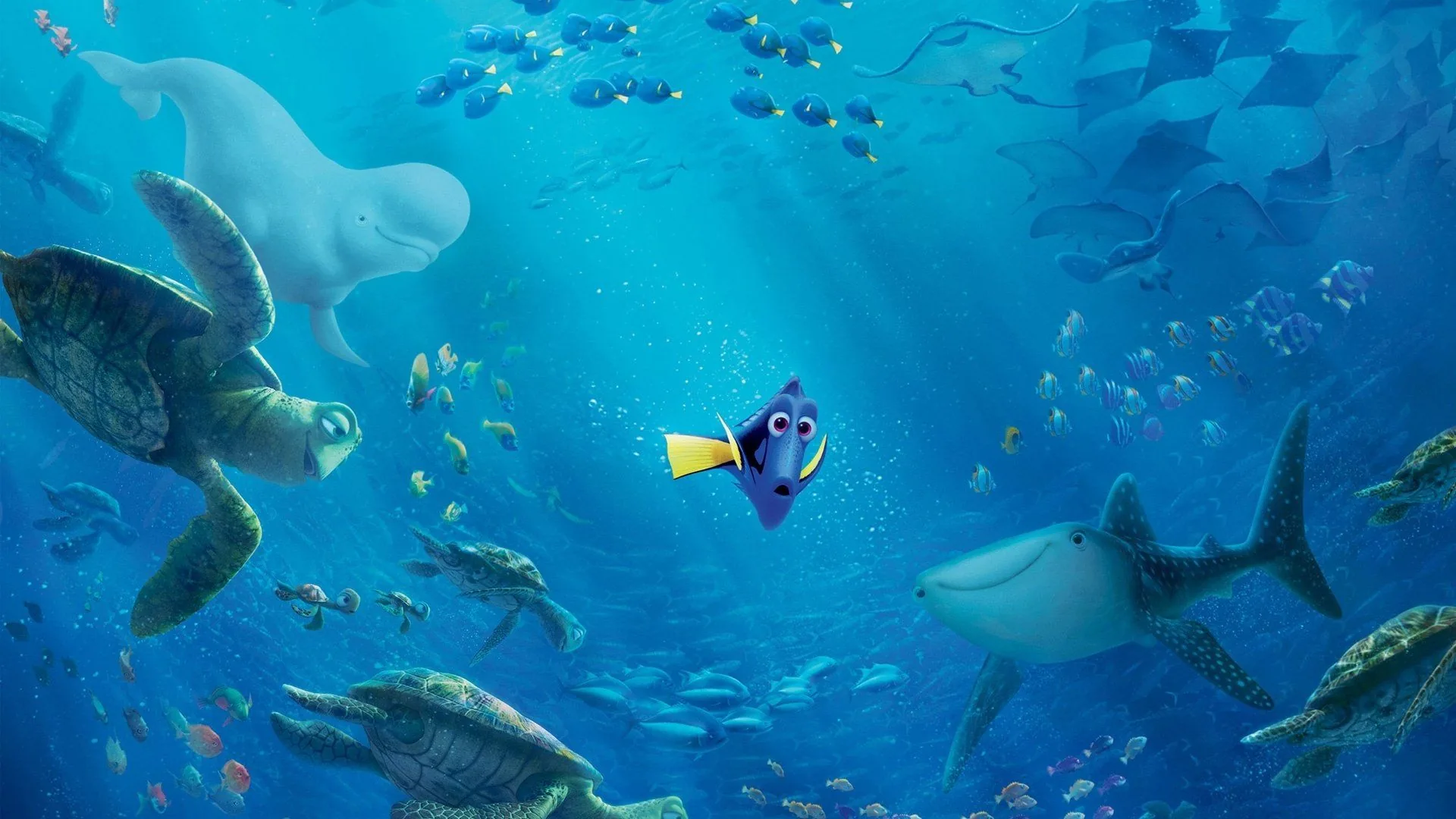 Dory tartarughe squalo oceano, 1920x1080 1080p, PC