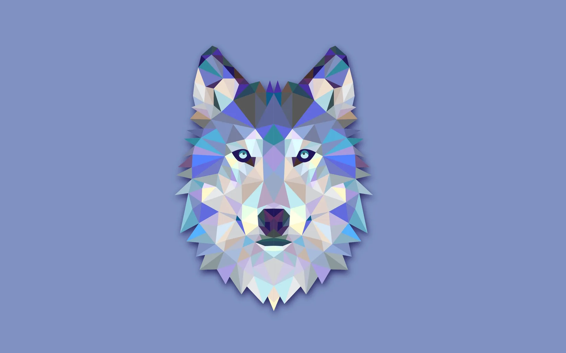 Lupo geometrico low poly blu, 2560x1600 WQXGA, Laptop