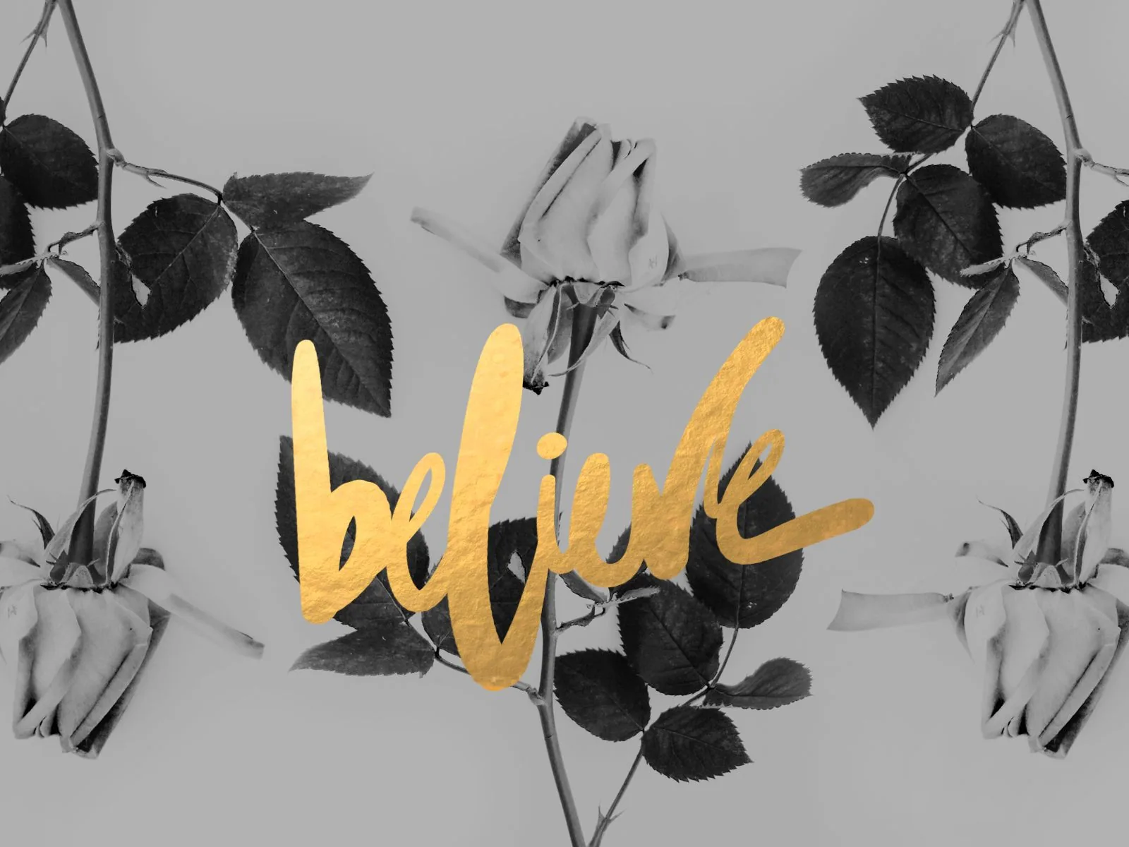 Rose grigie con scritta believe, 1600x1200 900p, Desktop