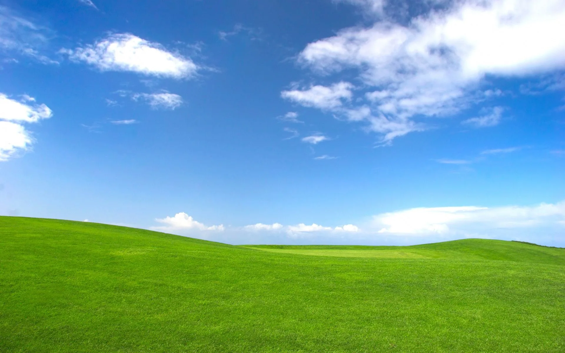Windows XP Bliss collina verde, sistema operativo Microsoft, 1920x1200 WUXGA, Laptop