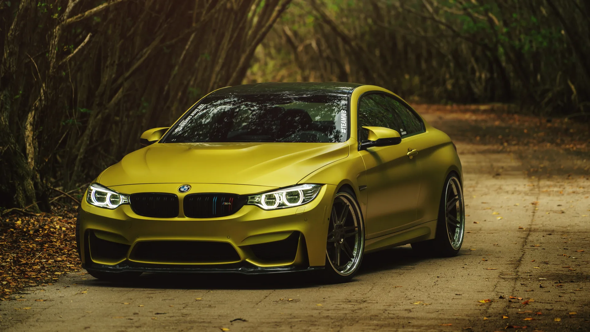 BMW M4 gialla foresta, 3840x2160 4K, Desktop 4K