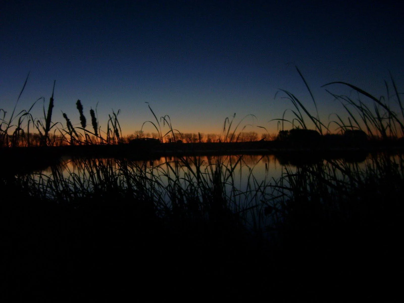 Tramonto su palude con canne, 1600x1200 HD Ready, Lenovo Legion