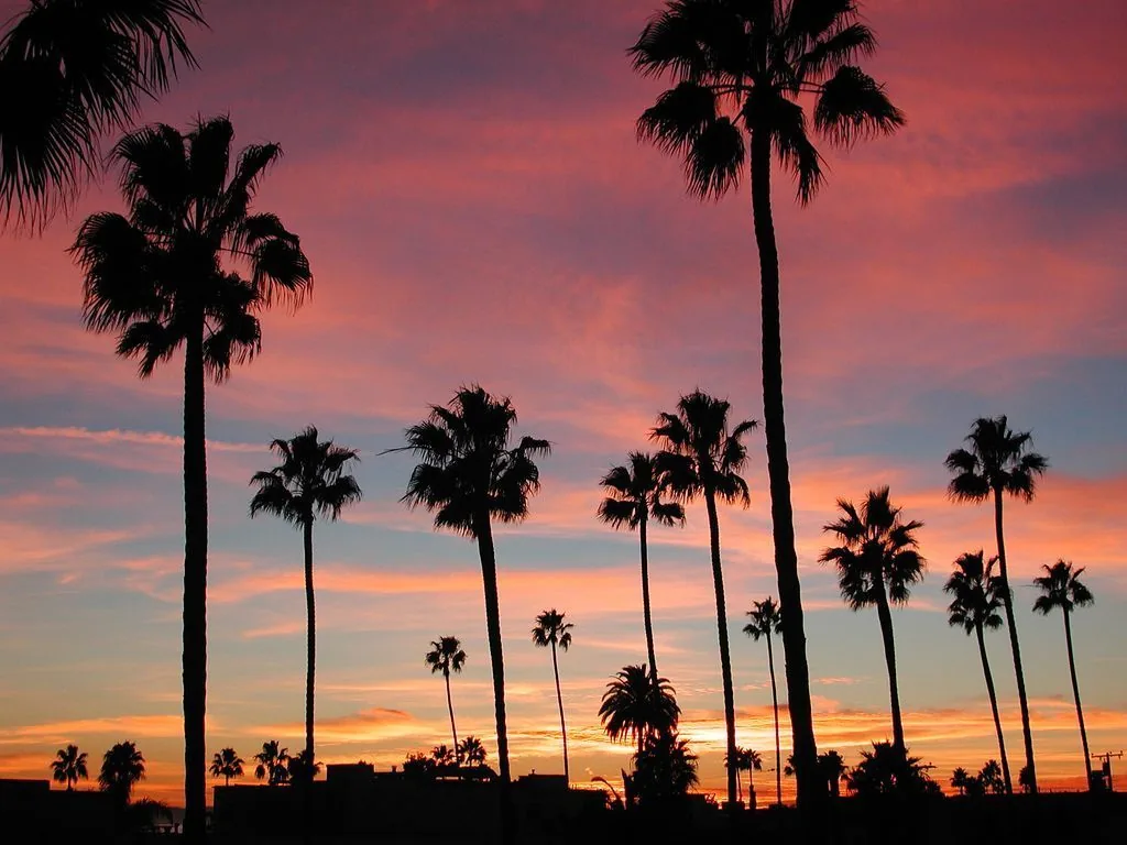 Palme silhouette tramonto California, 1024x768 HD, iMac