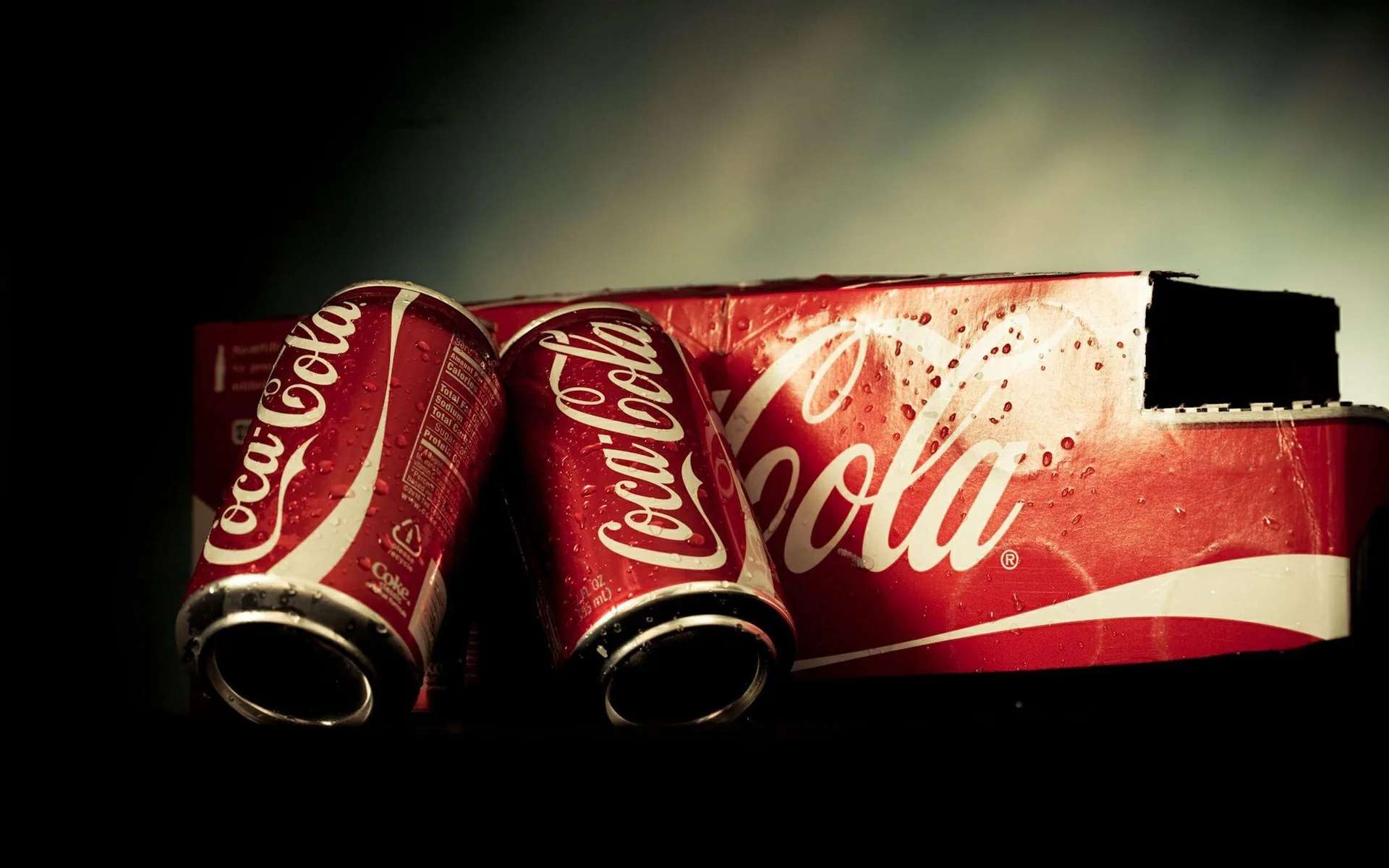 Lattine Coca-Cola schiacciate, orsi polari, 2560x1600 2K, Laptop