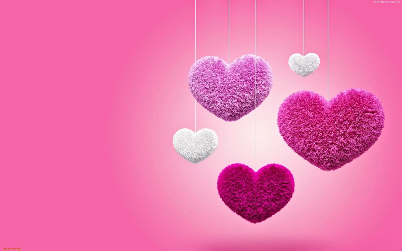 Cuori pelosi appesi rosa, 1600x1000 900p, Desktop