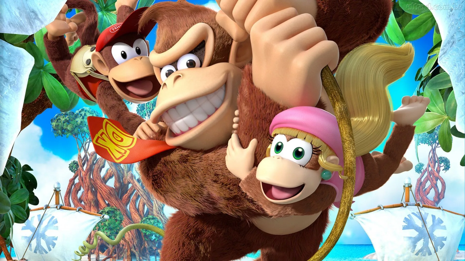 Donkey Kong Country Tropical Freeze, Nintendo, 1920x1080 1080p, Desktop