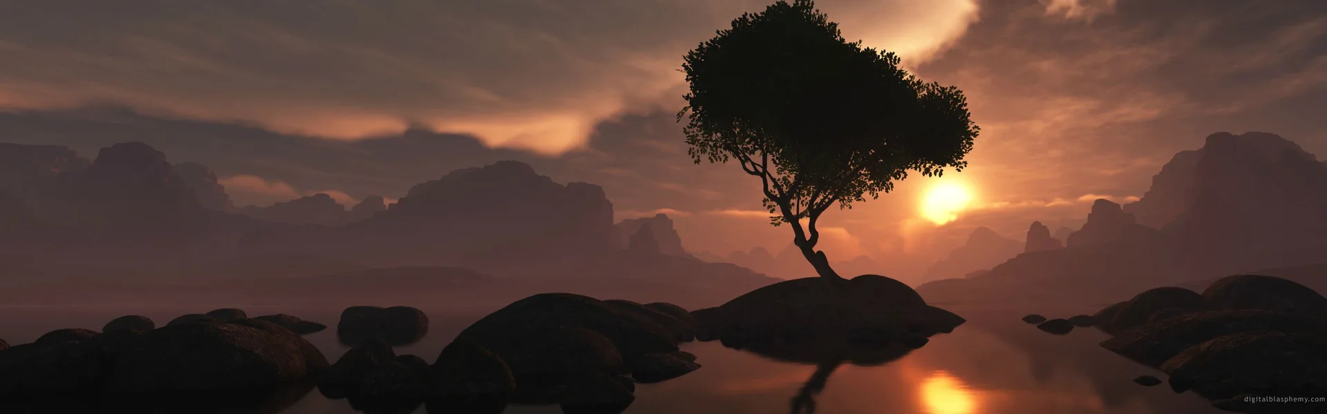 Albero solitario tramonto acqua, 3840x1200 Ultrawide, Dual Monitor