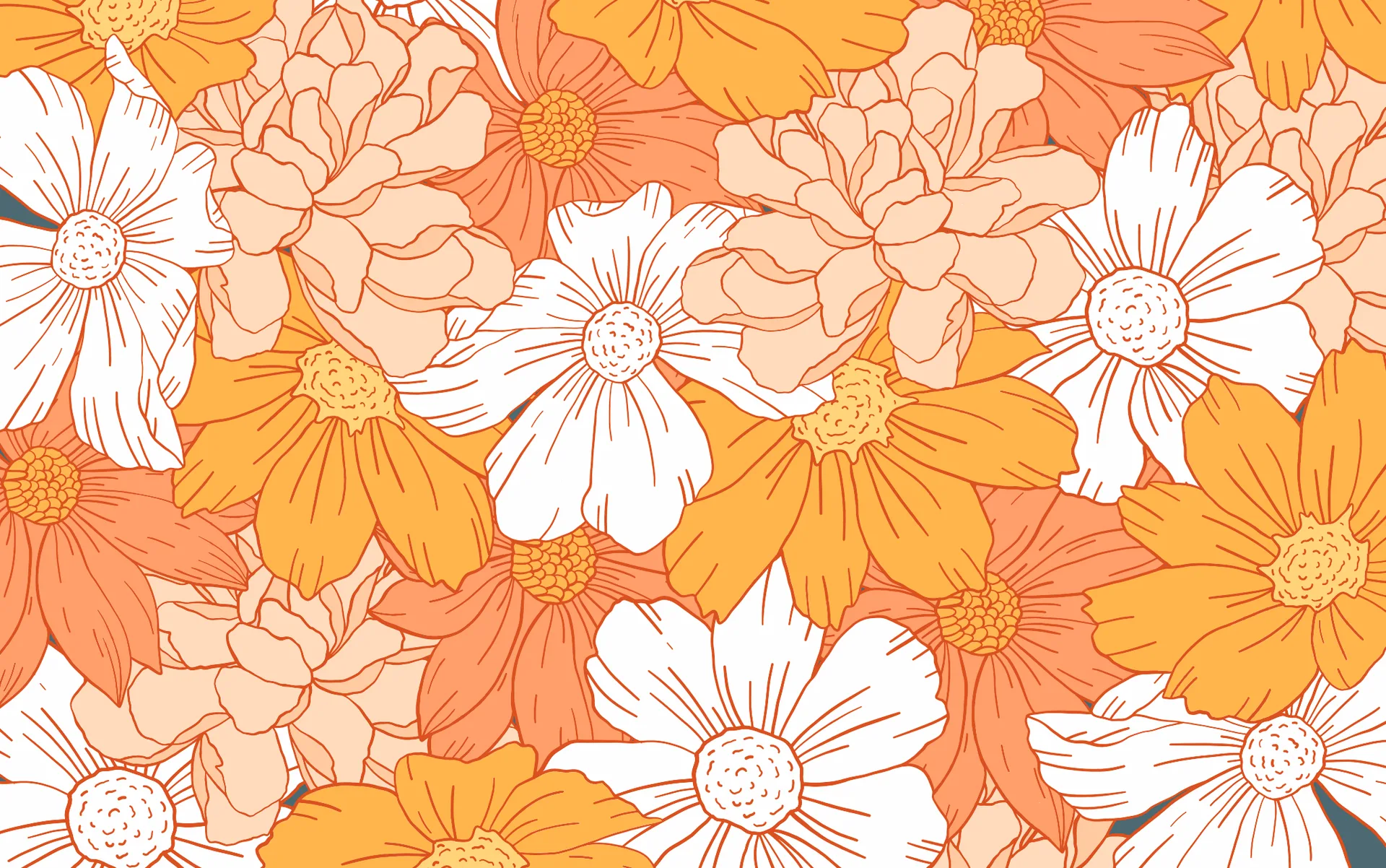 Fiori arancioni e bianchi illustrati, 2048x1282 alta risoluzione, Laptop