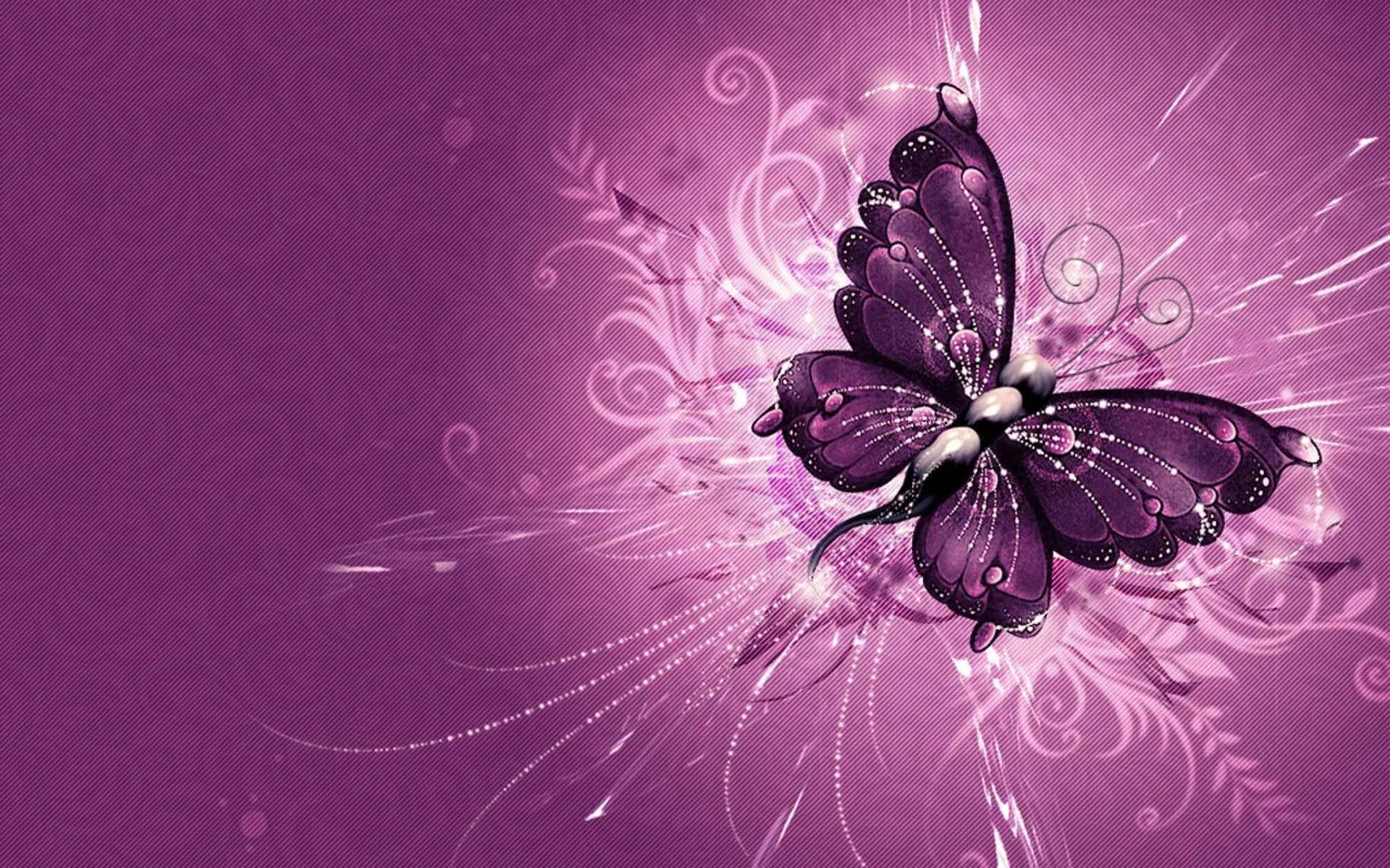 Farfalla viola neon decorativa, 2592x1620 2K, Desktop