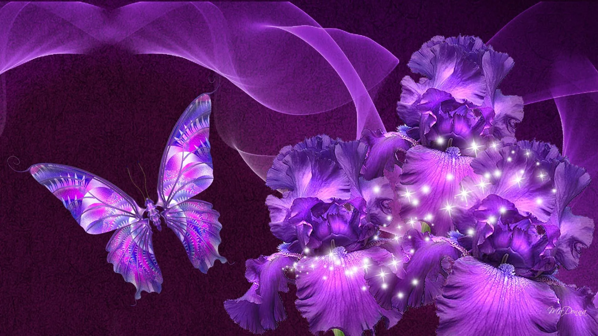 Farfalla viola con iris, 1920x1080 Full HD, Desktop
