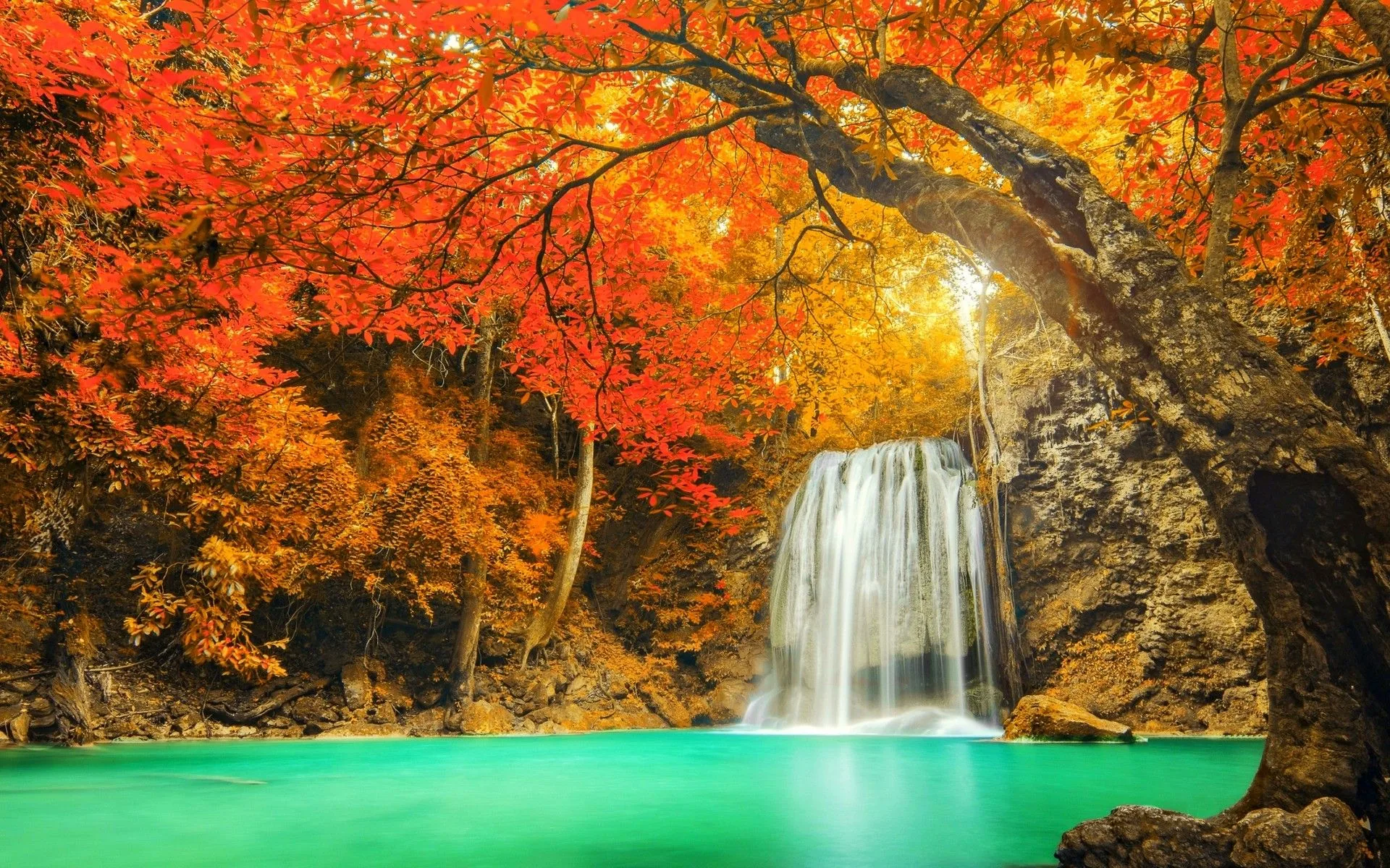 Cascata autunnale con alberi rossi, 1920x1200 Full HD+, Laptop