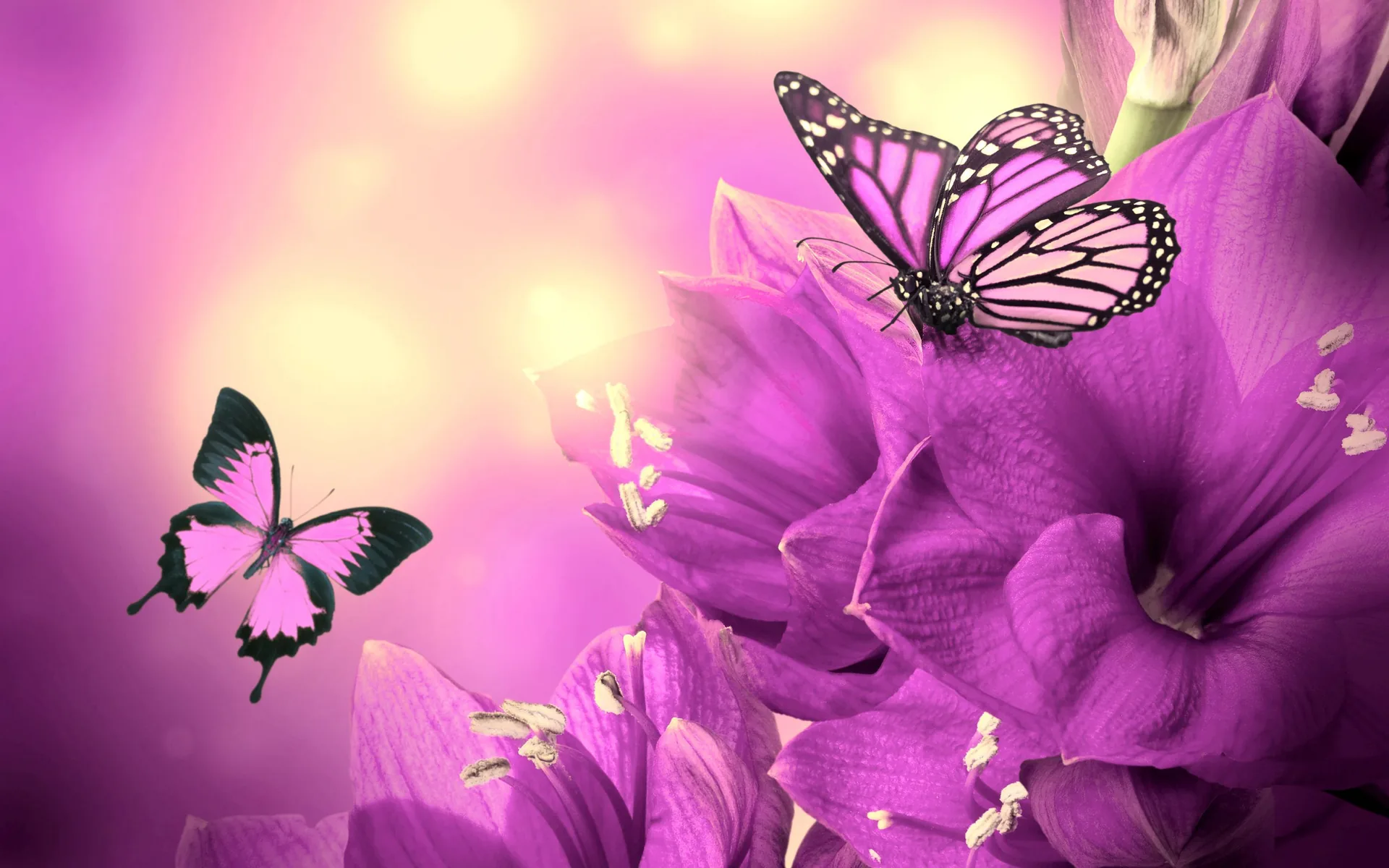 Farfalle viola su fiori, 2880x1800 WQXGA, PC
