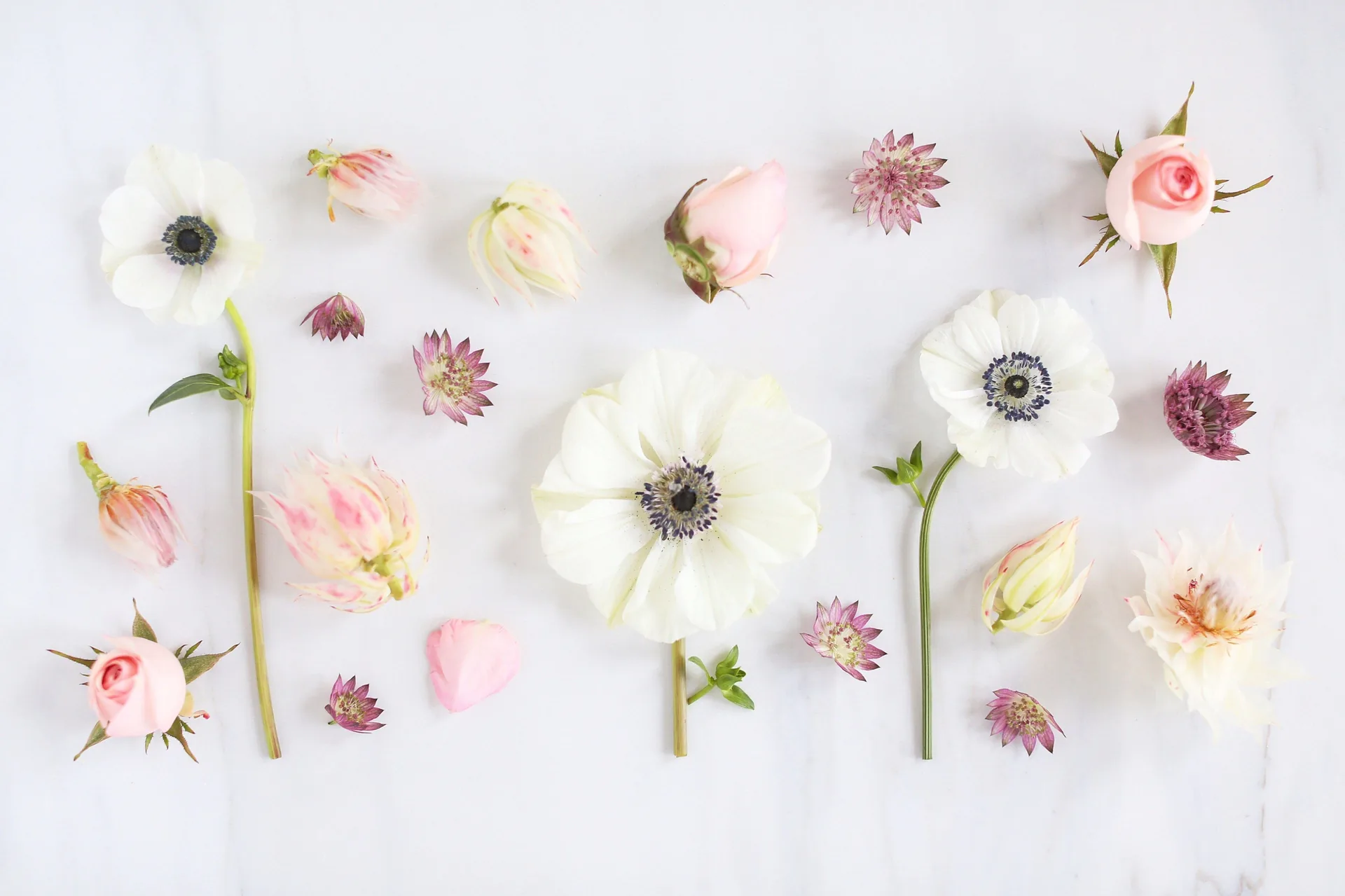 Fiori per Desktop, 3803x2533 WQXGA, Desktop