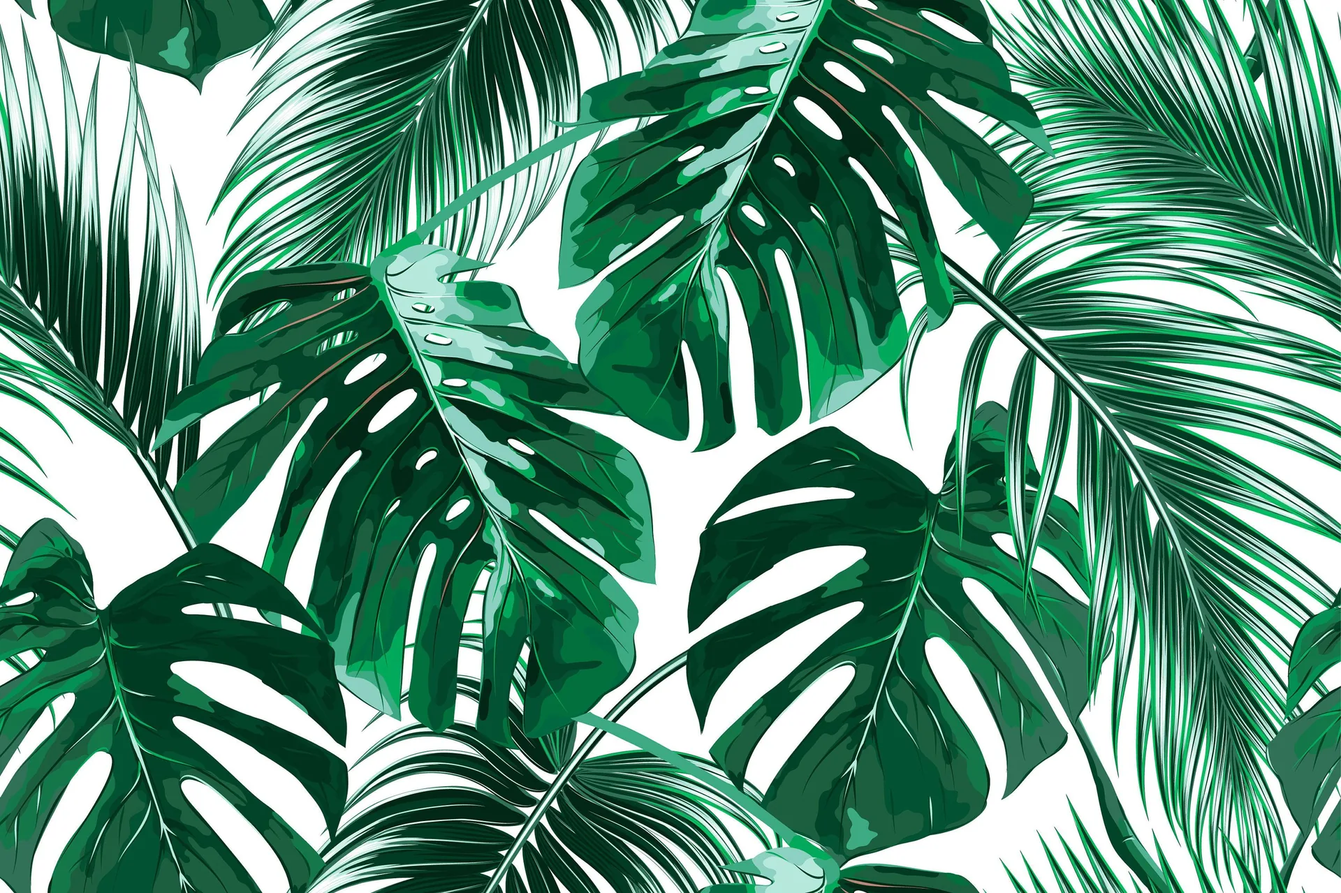 Foglie tropicali verdi monstera, 3000x1999 2K, Desktop