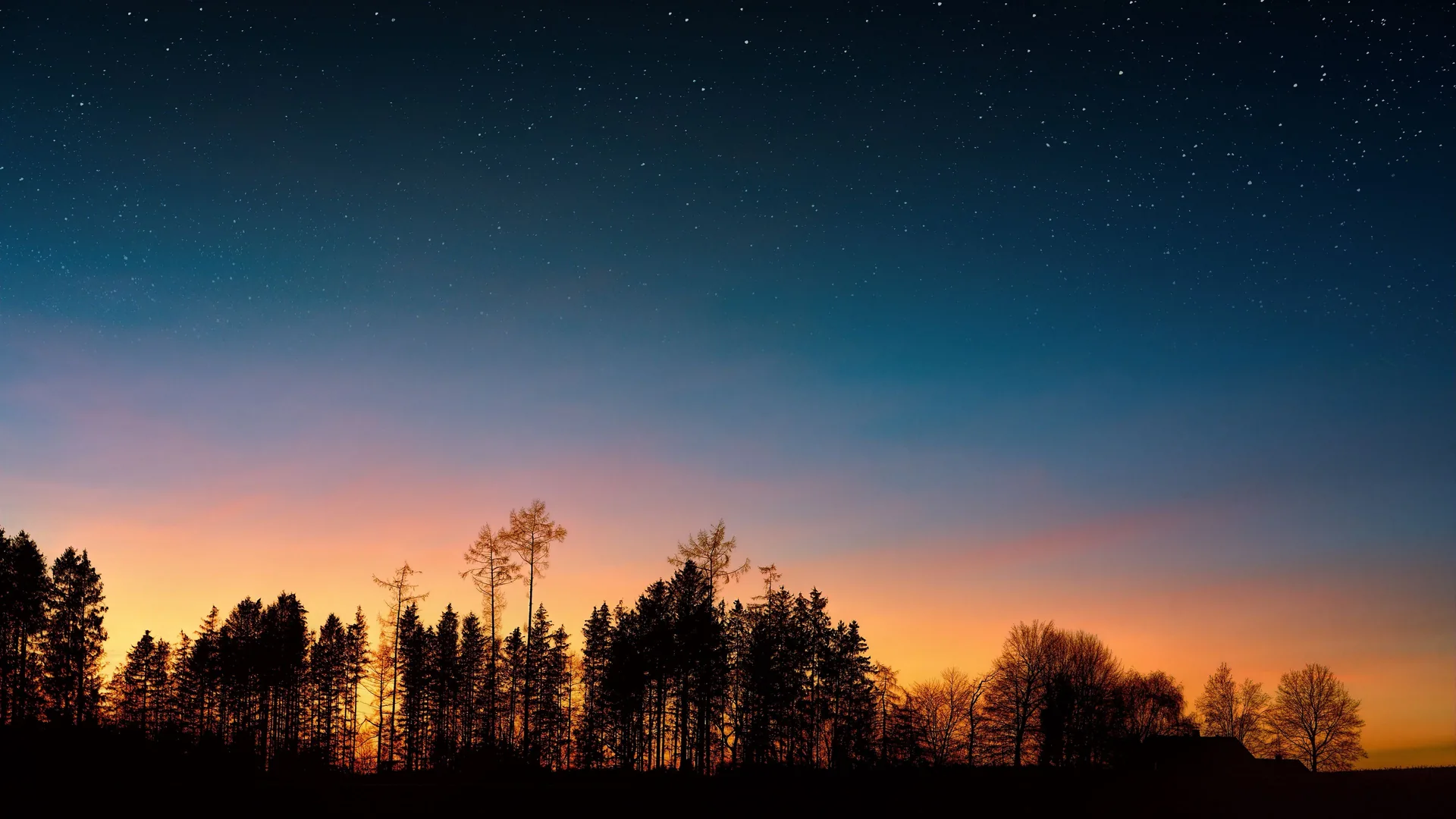 Foresta silhouette al tramonto stellato, 3840x2160 4K, Desktop 4K