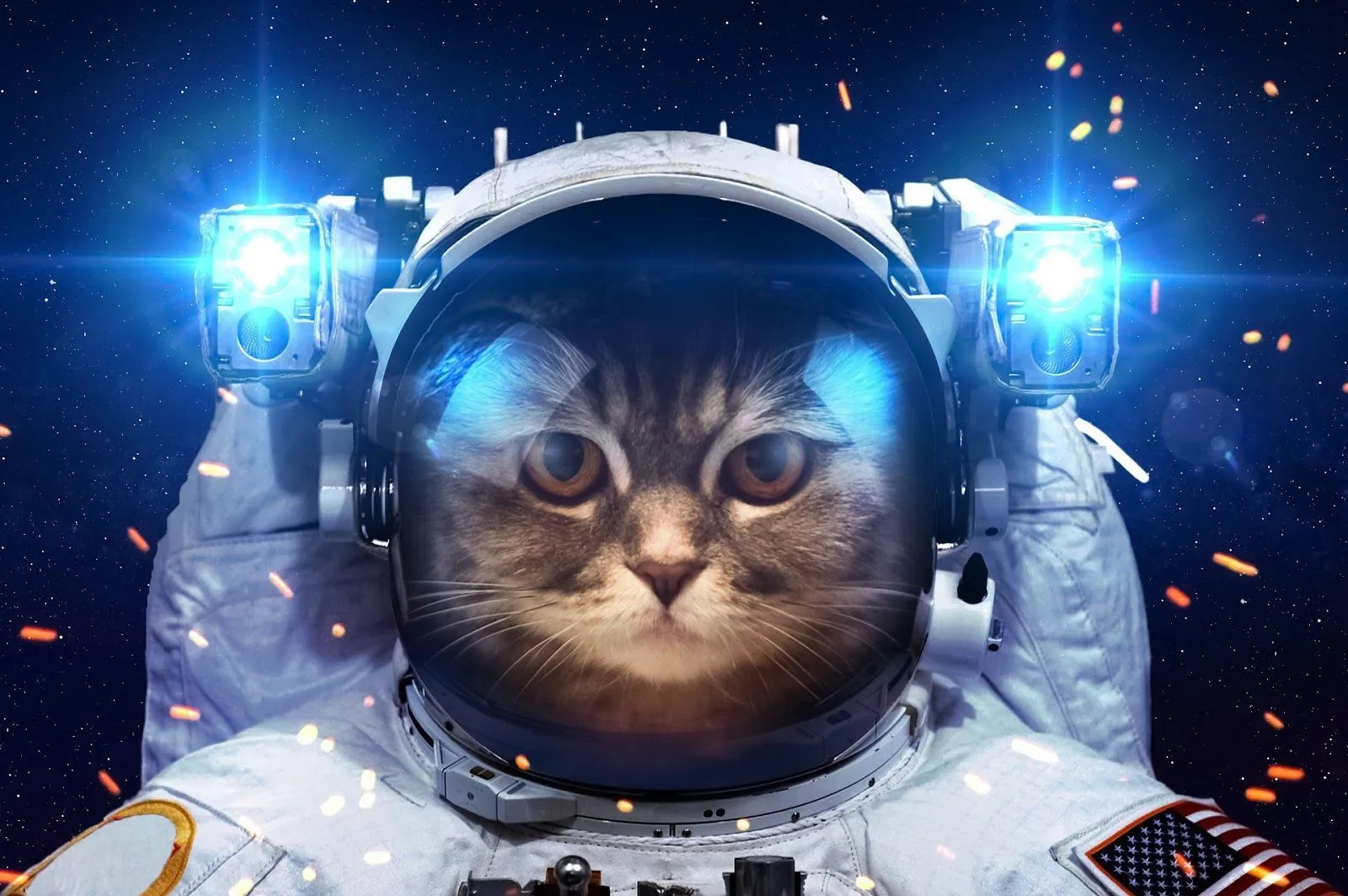 Gatto astronauta nello spazio, 1600x1064 HD, ROG Asus Laptop