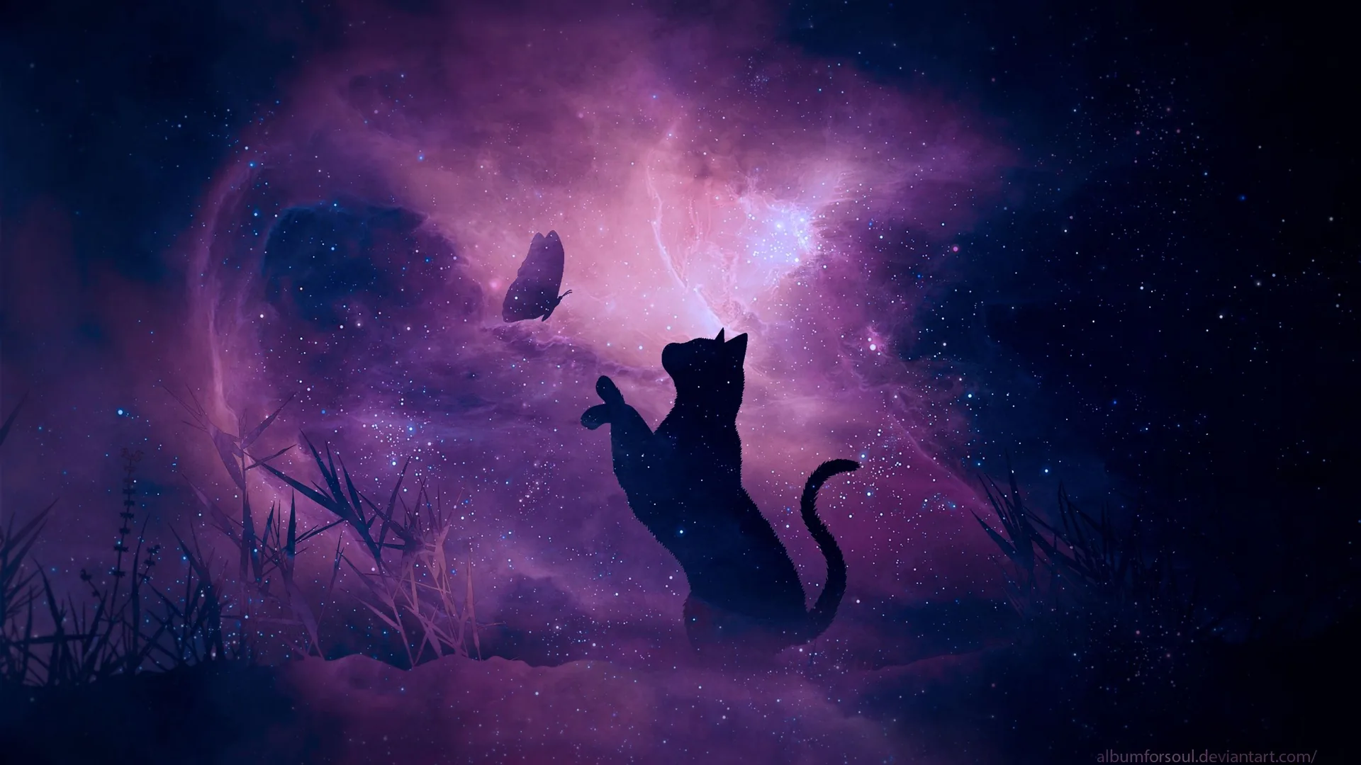 Gatto silhouette cielo stellato, 2560x1440 1440p, Desktop