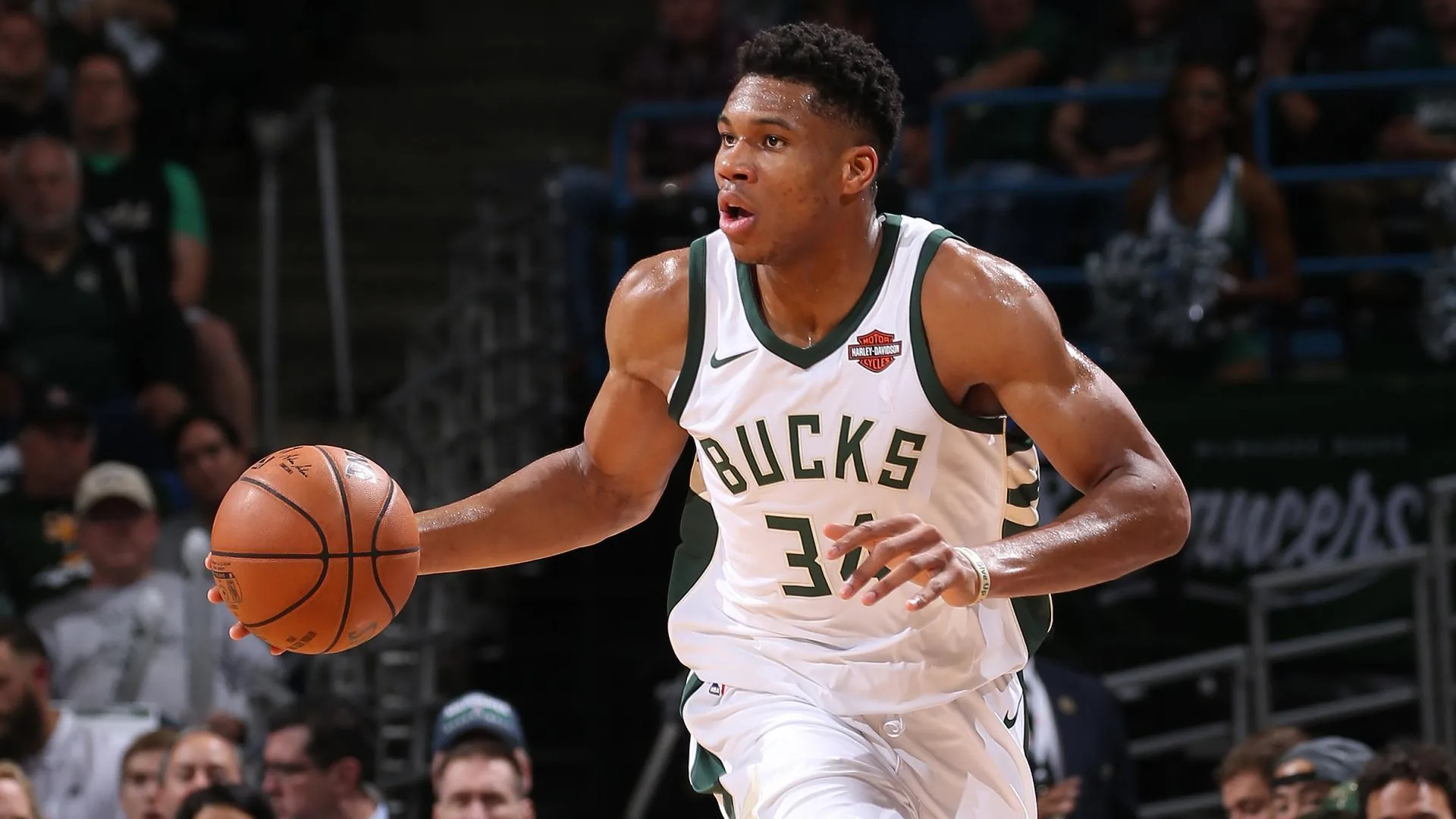 Giannis Antetokounmpo Milwaukee Bucks, NBA, 1920x1080 Full HD, Laptop