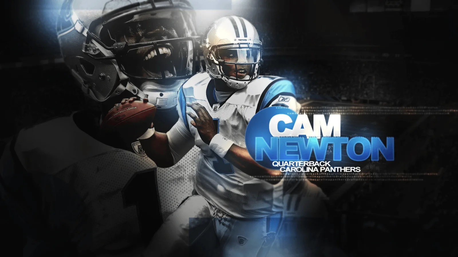 Cam Newton Carolina Panthers, football americano, 1600x900 HD Ready, Laptop