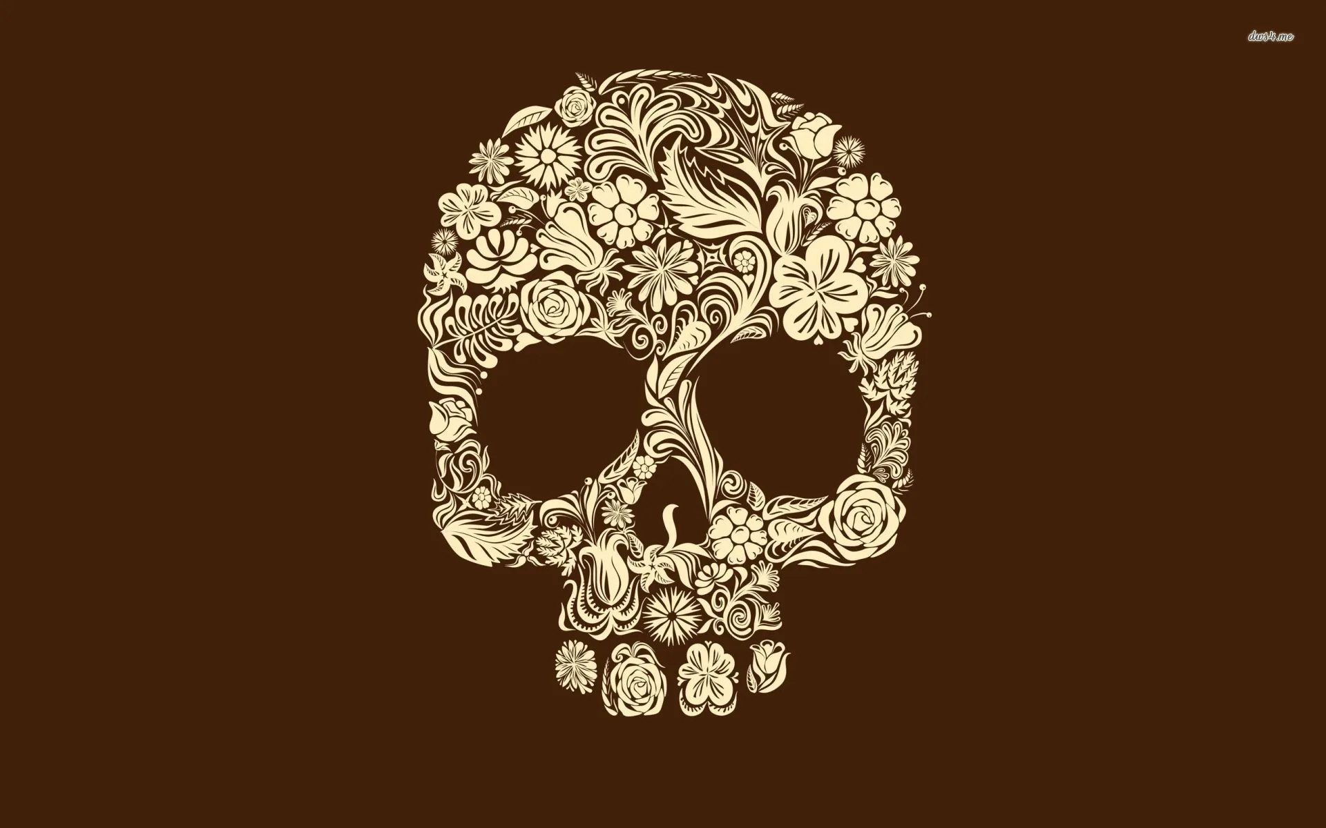 Teschio floreale su sfondo marrone, 1920x1200 WUXGA, Desktop