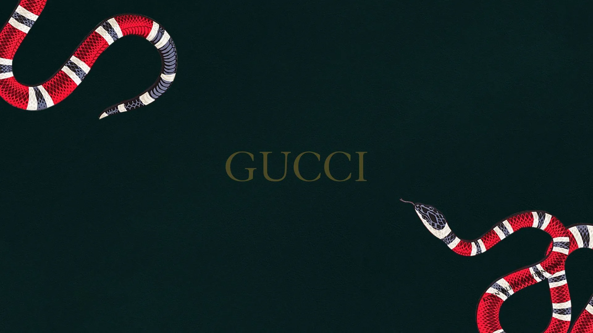 Logo Gucci con serpenti, 1920x1080 1080p, PC Desktop