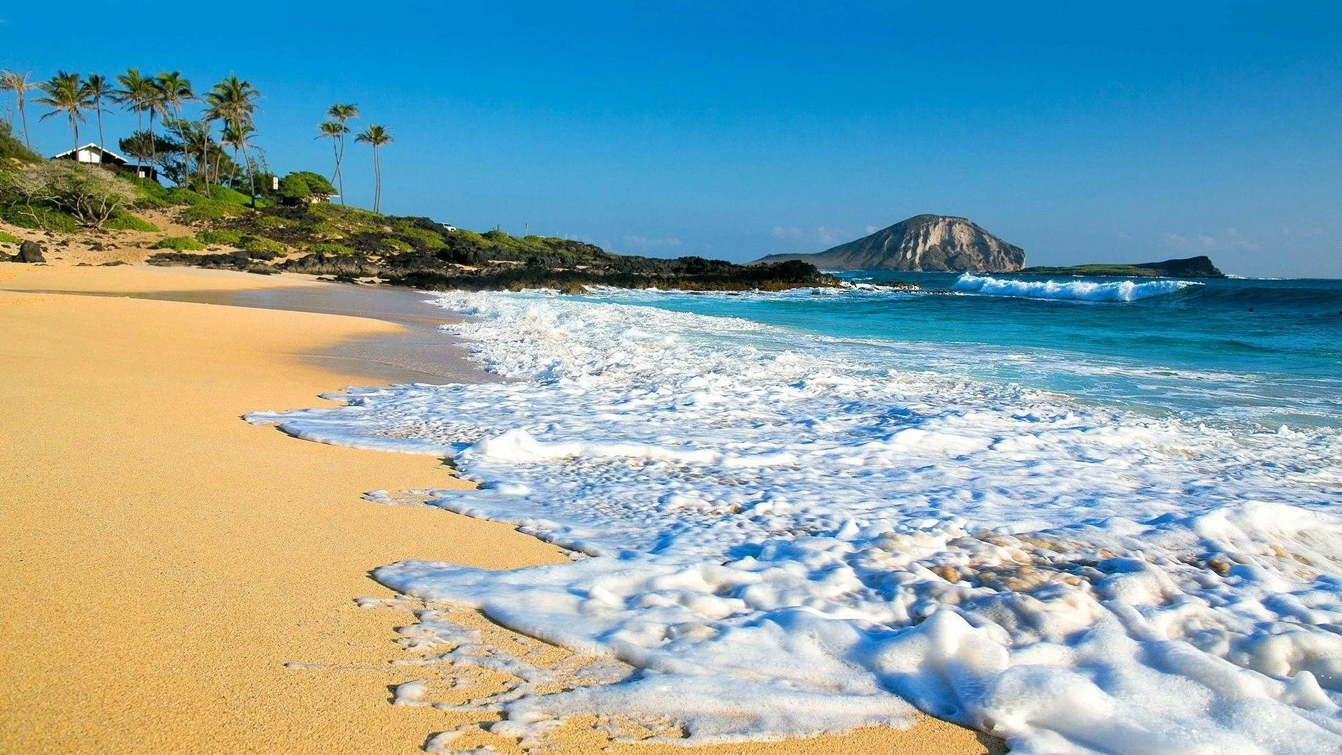 Spiaggia tropicale con palme, 1920x1080 Full HD 1080p, Desktop