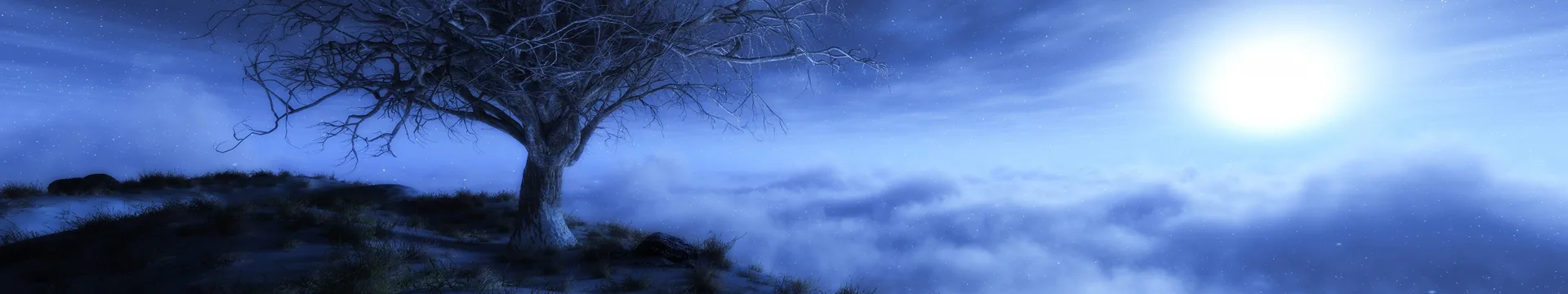Albero solitario su collina nebbiosa, 5760x1080 21:9, Ultrawide