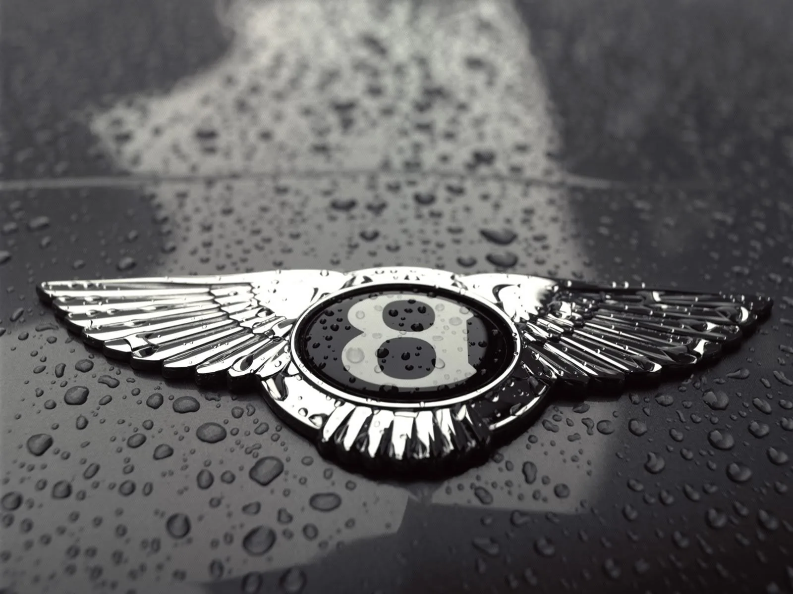 Logo Bentley con gocce d'acqua, 1600x1200 HD Ready, Desktop