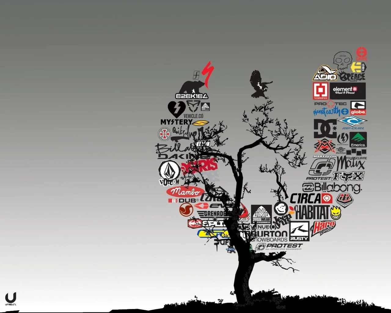 Albero con loghi skateboard, 1280x1024 HD, Desktop