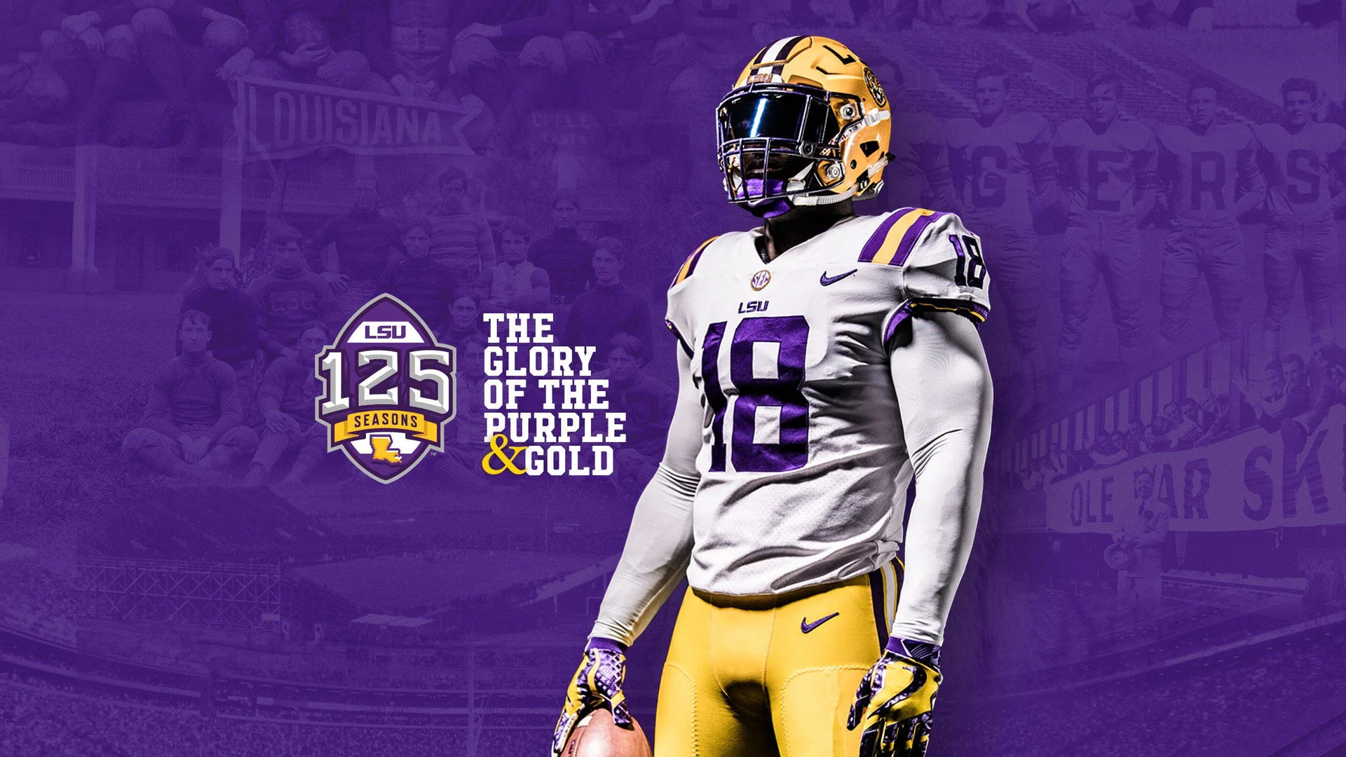 Giocatore football LSU viola, 2560x1440 2K, Desktop