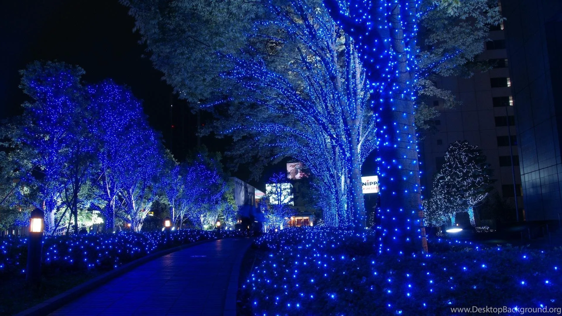 Luci blu natalizie su alberi, 1920x1080 1080p, PC