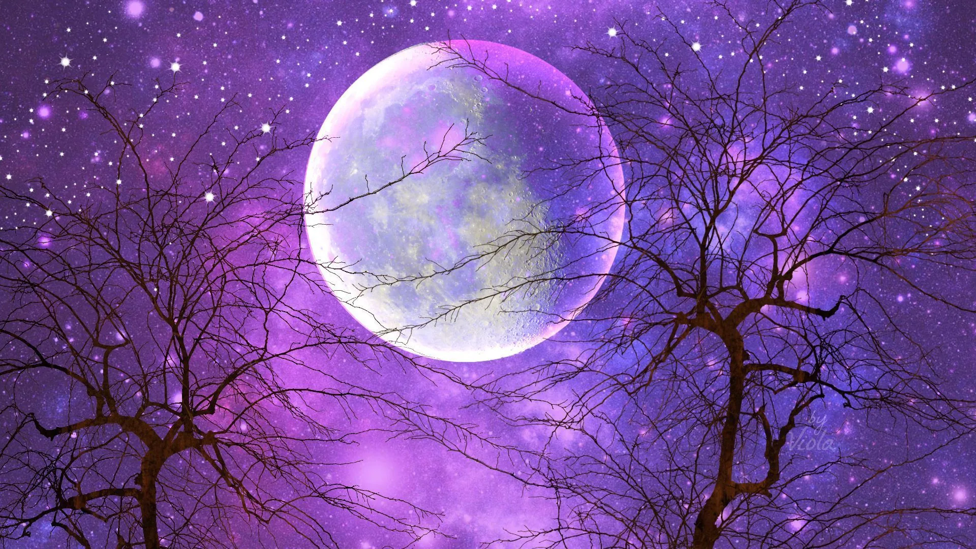 Luna viola tra rami spogli, 1920x1080 Full HD, Desktop