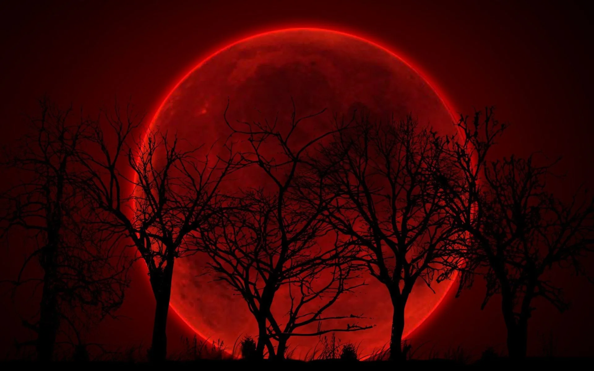 Luna rossa sangue con alberi, 1920x1200 Full HD+ WUXGA, PC