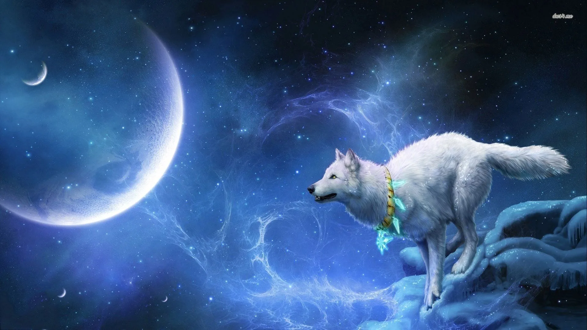 Lupo bianco che ulula alla luna, 1920x1080 1080p, PC