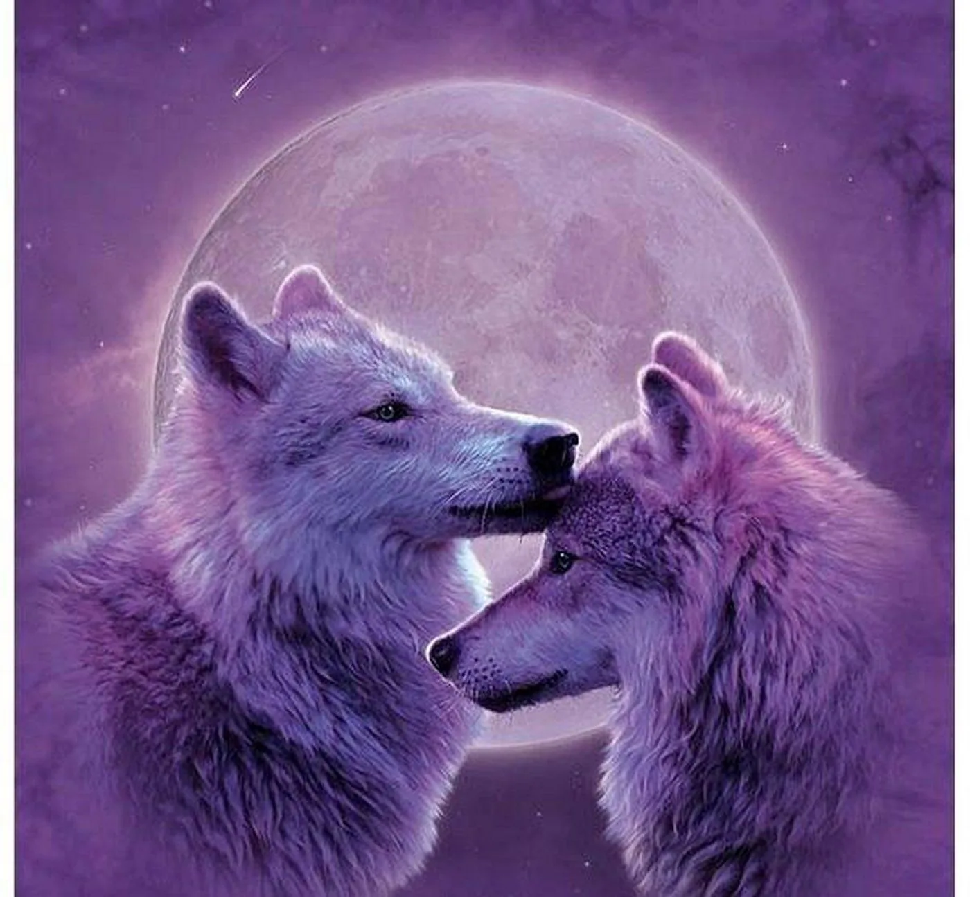 Due lupi innamorati luna viola, 1400x1295 HD, HP Laptop