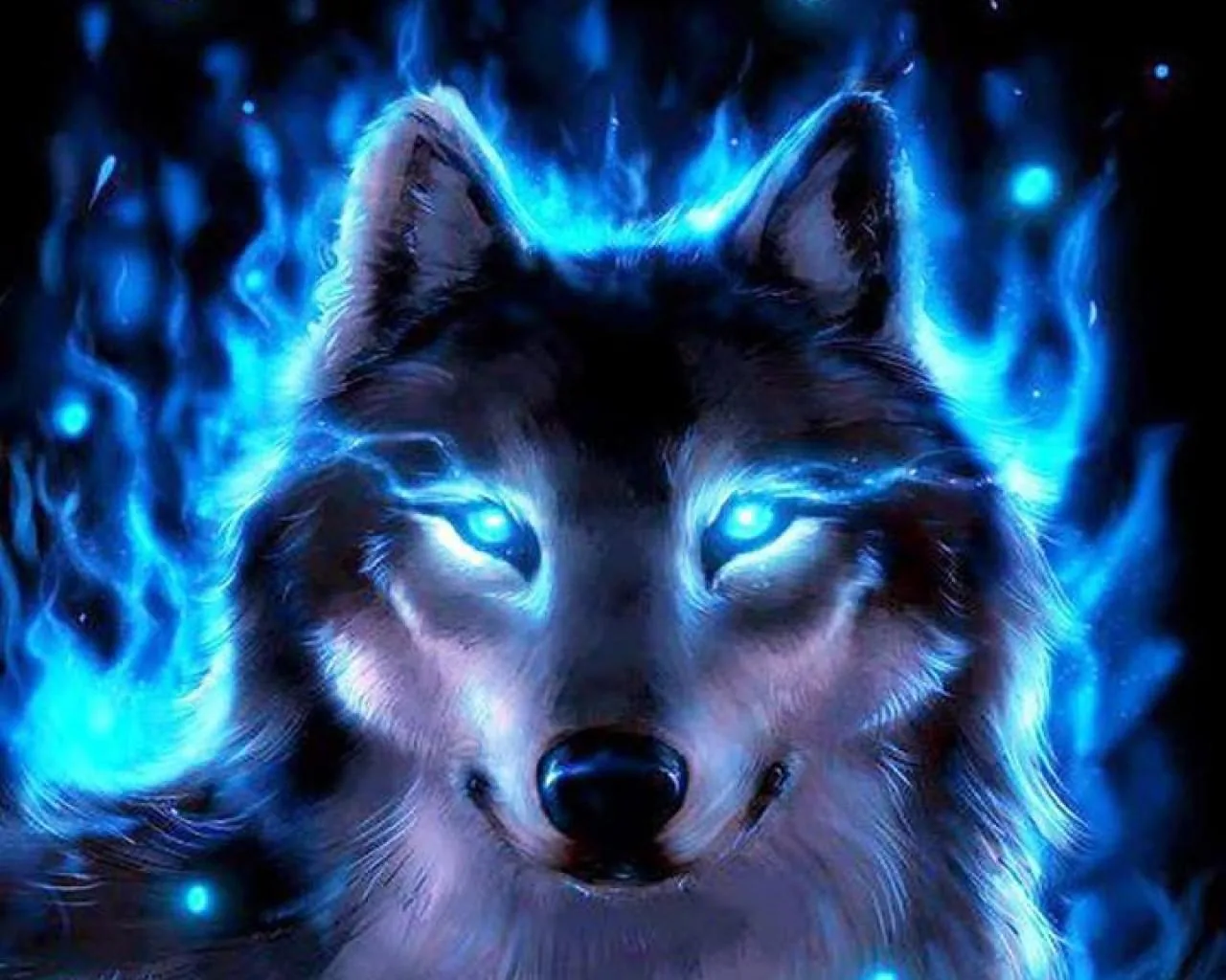 Lupo con fiamme blu, 1280x1024 720p, PC