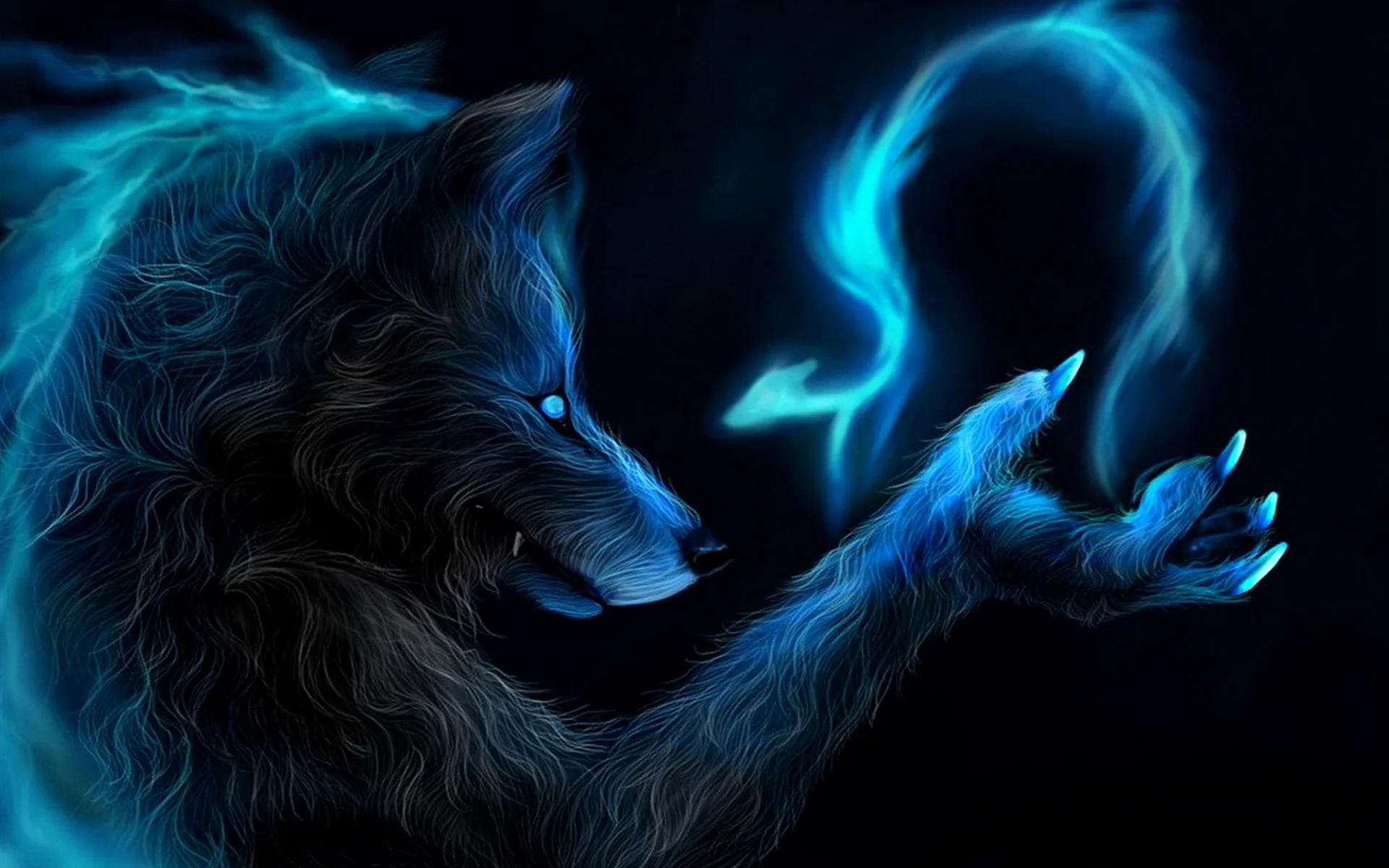 Lupo blu fantasy luminoso, 2560x1600 2K+, Desktop