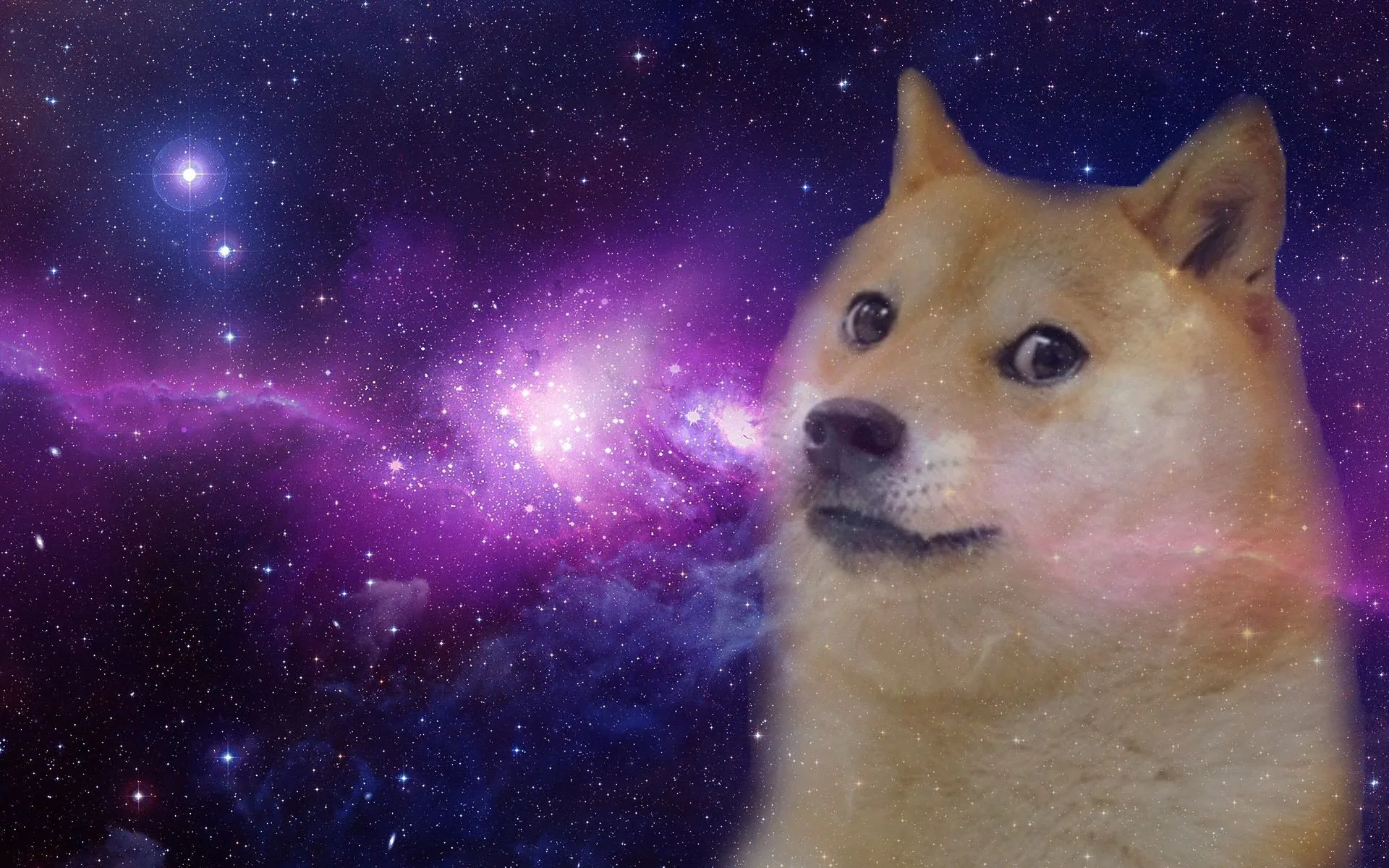 Doge Shiba Inu nello spazio, 1920x1200 Full HD+, Desktop