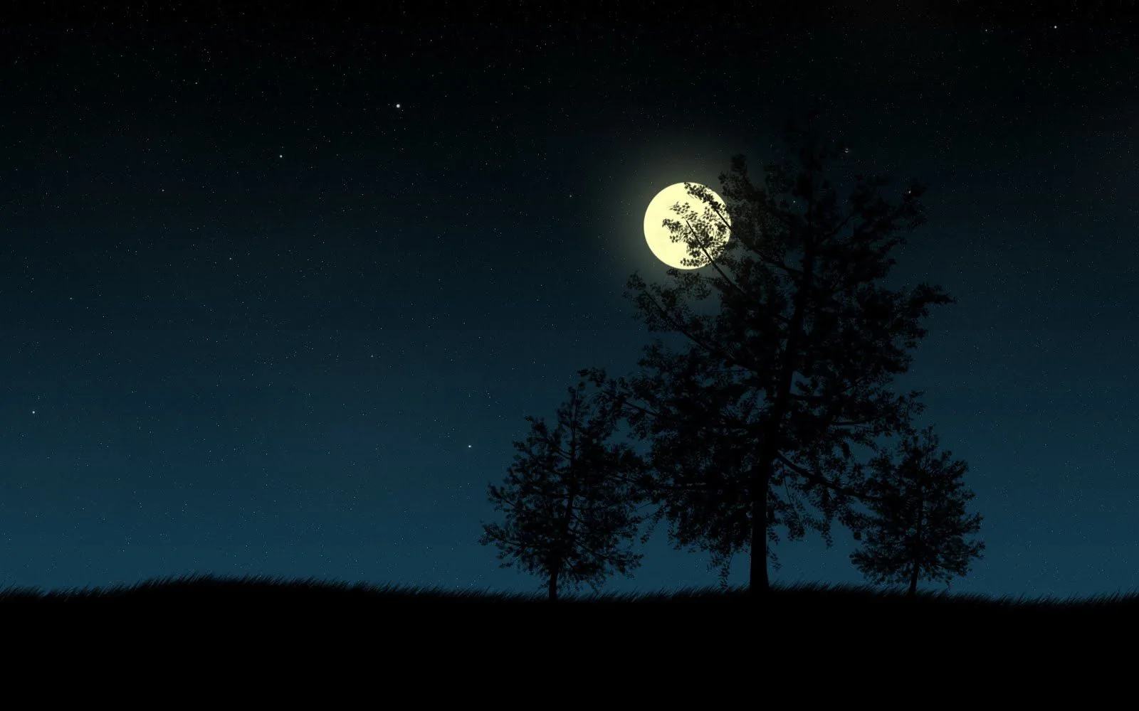 Luna piena tra alberi, 1600x1000 HD Ready, Desktop
